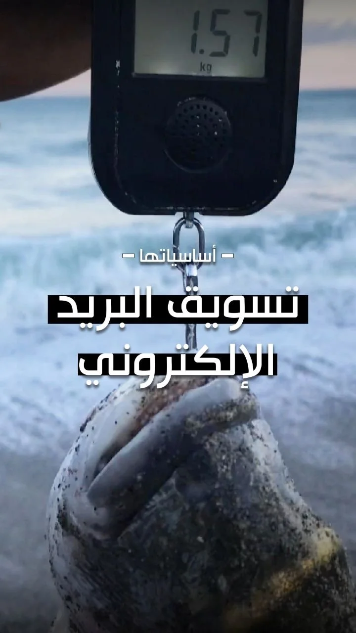 بناء مجتمع بريدك الإلكتروني
توقف عن التخمين وابدأ بالتواصل! السر الحقيقي لجذب العملاء والاحتفاظ بهم يكمن في قائمة بريدك الإلكتروني. نحن نتحدث عن رسائل بريد إلكتروني مستهدفة ومجزأة، والترحيب بإلغاء الاشتراك (فهو يحافظ على نظافة قائمتك!)، والأتمتة الذك