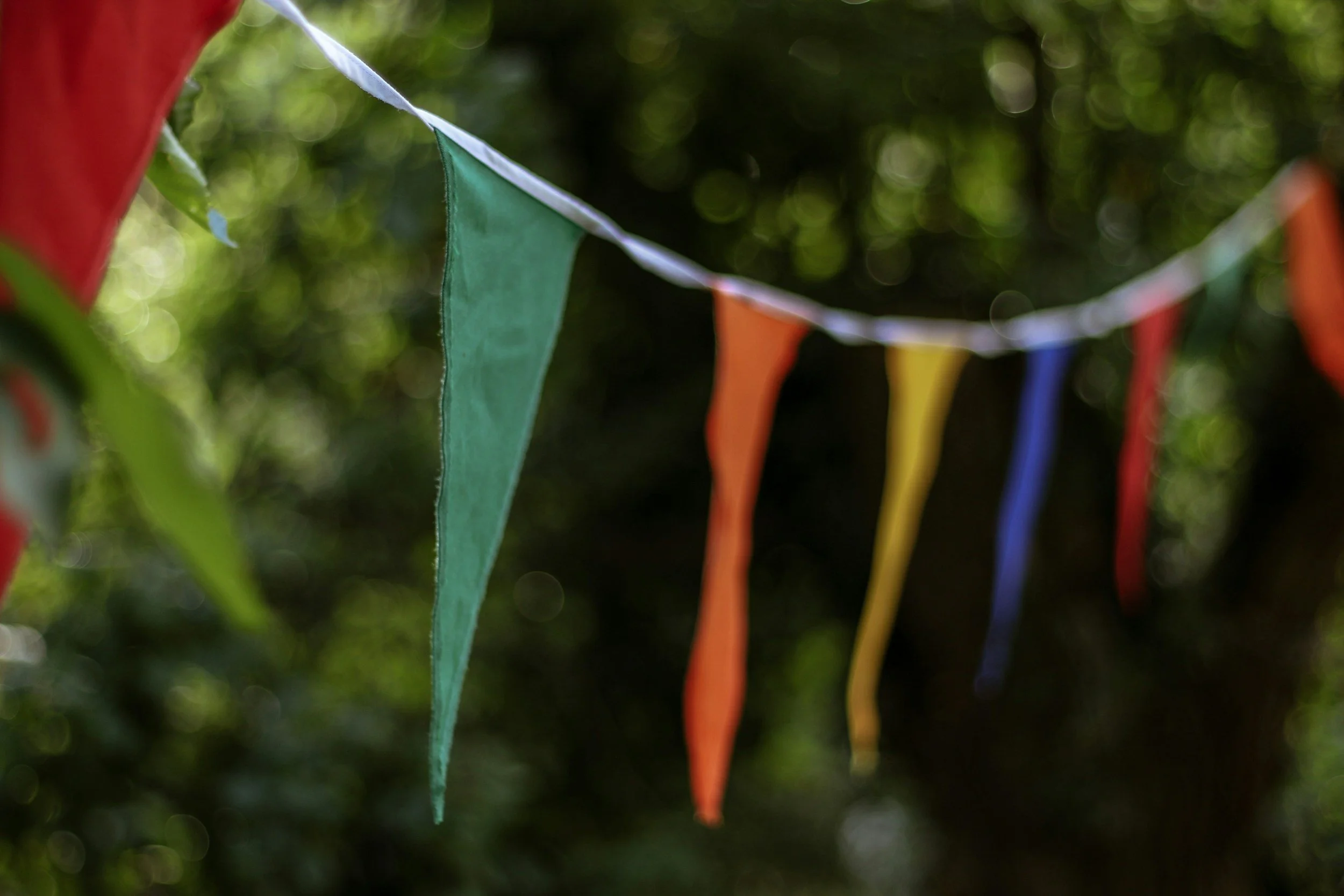 Colorful fabric pennant banner hanging outdoors in front of green foliage.