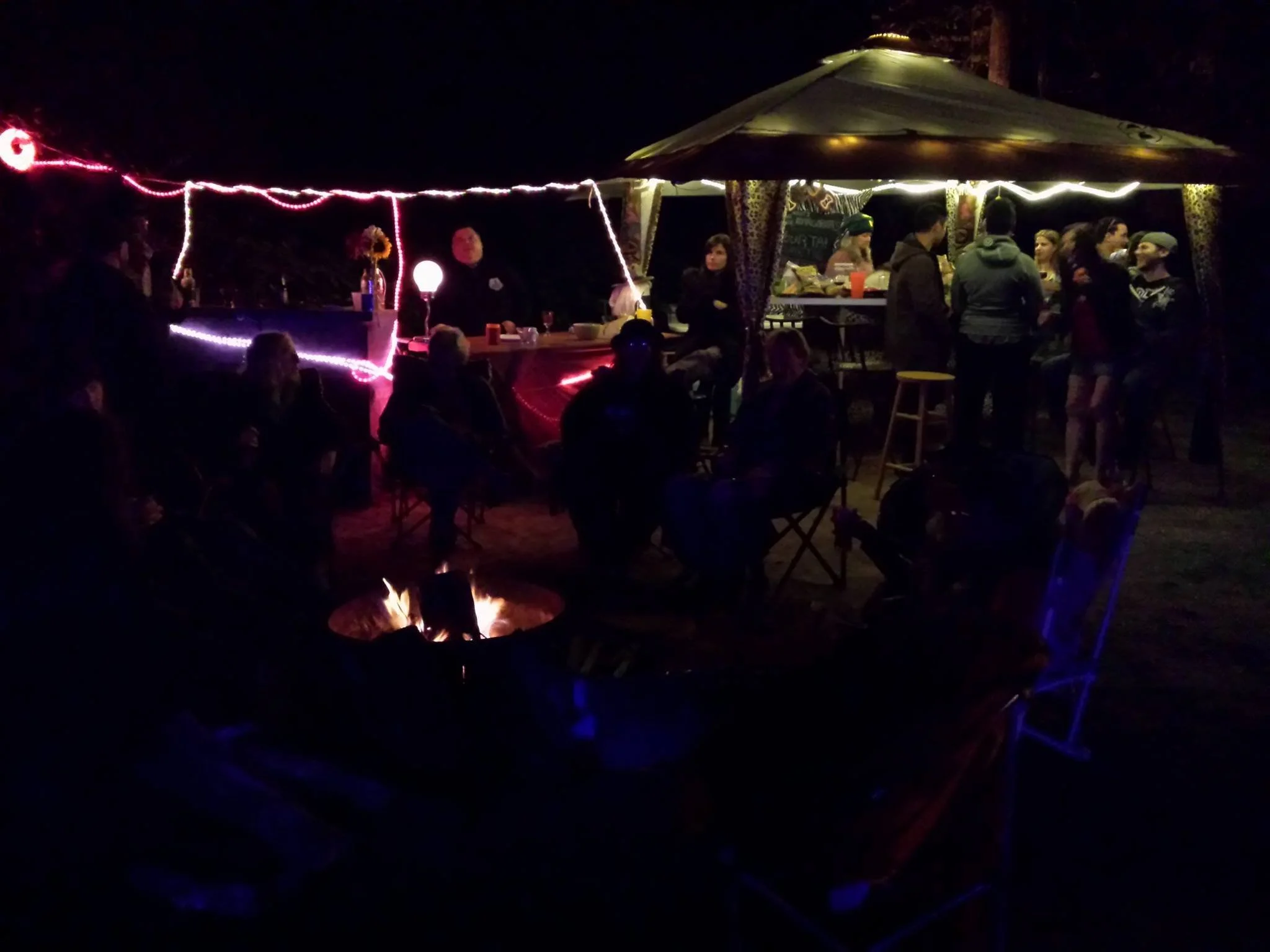 leopard lounge 2017.jpg