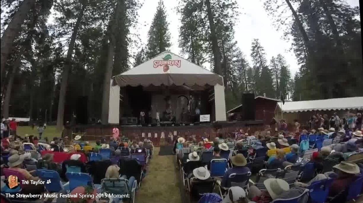 smf 2015.png