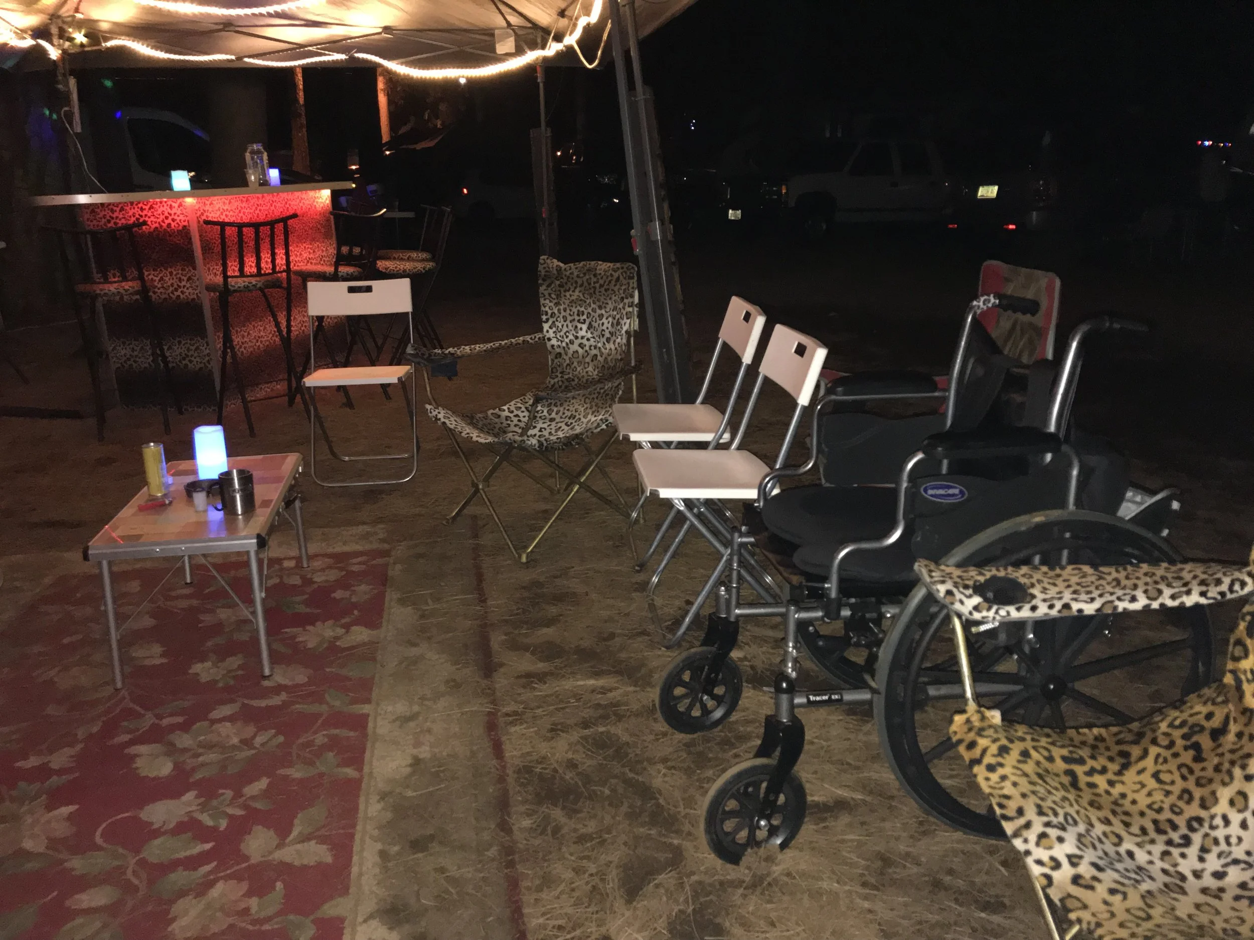 wheelchair at Strawberry 2018.JPG