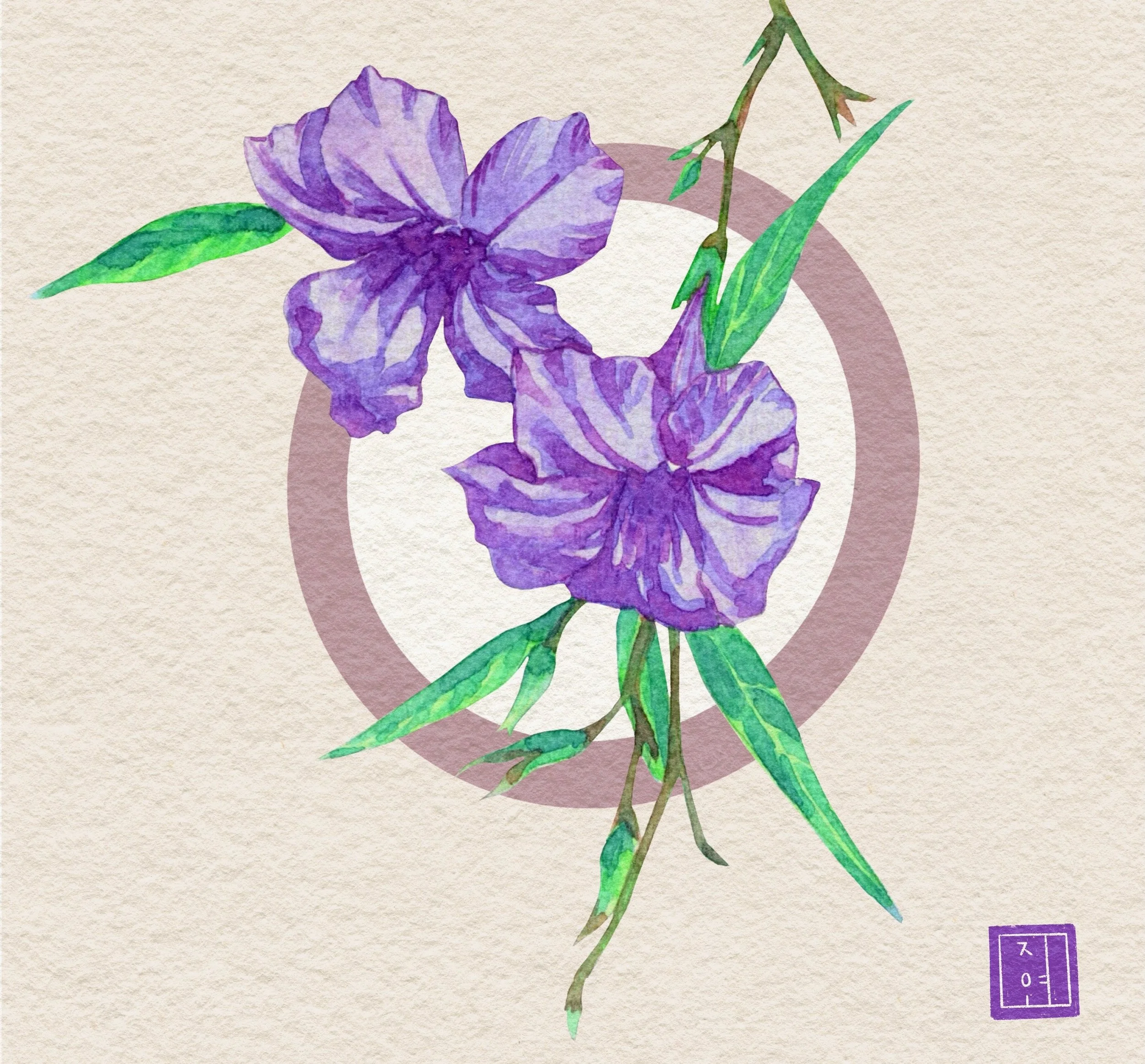 Ruellia Tuberosa (Watercolor)