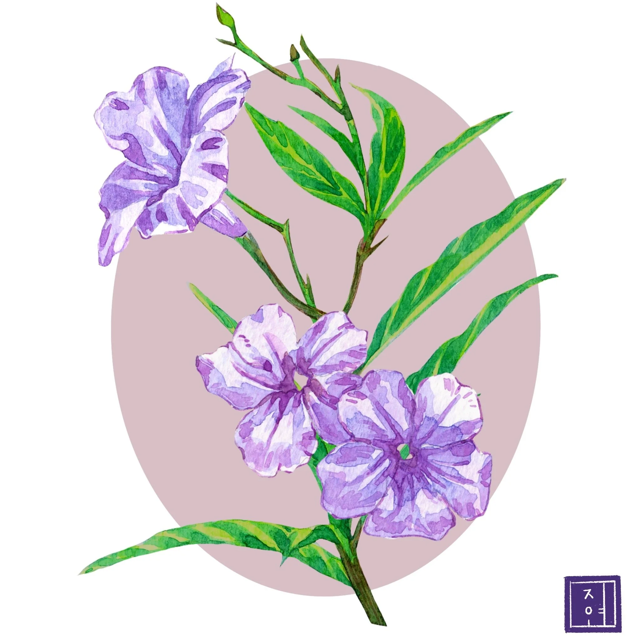 Ruellia Tuberosa (Watercolor)