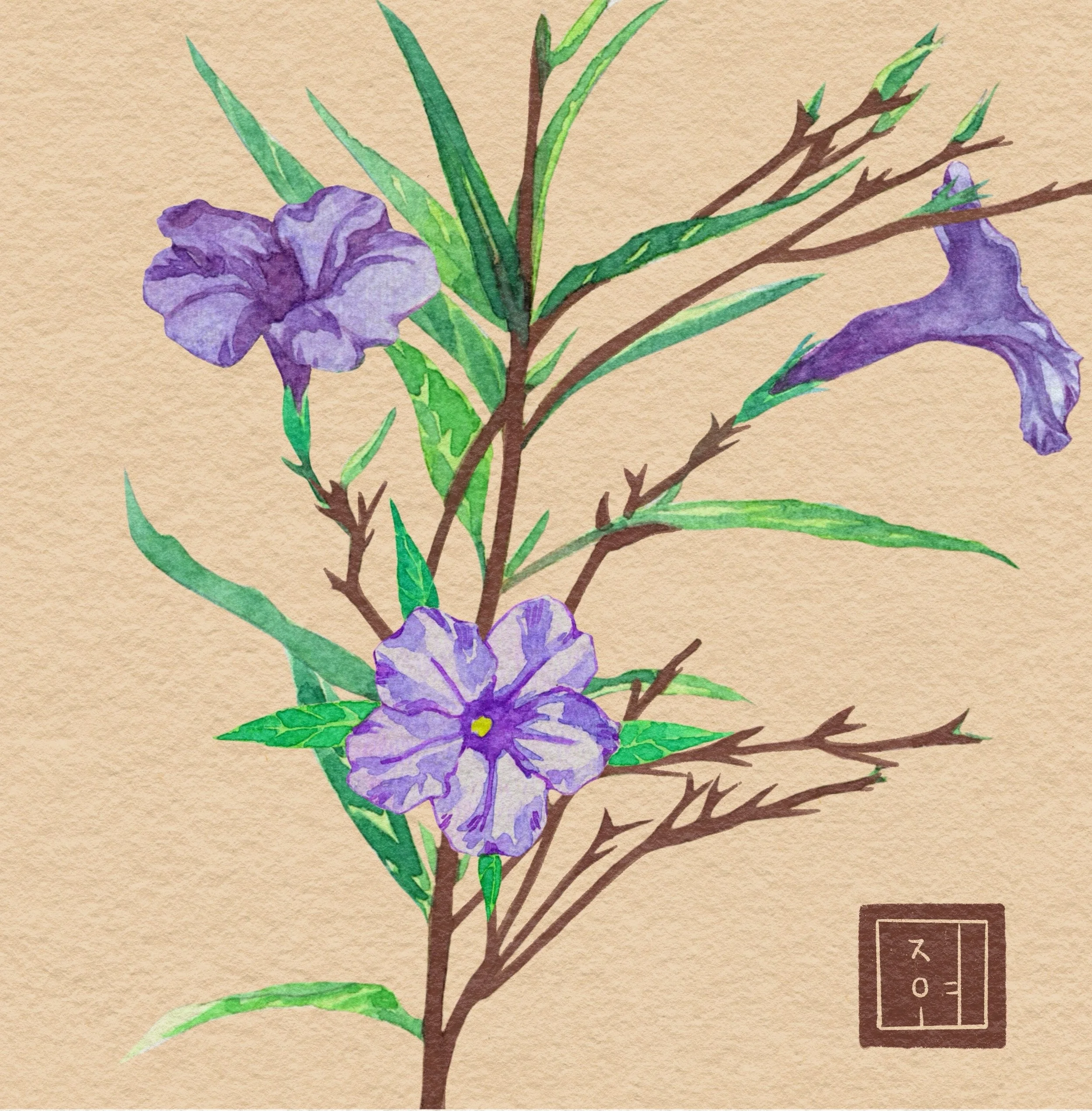 Ruellia Tuberosa (Watercolor)