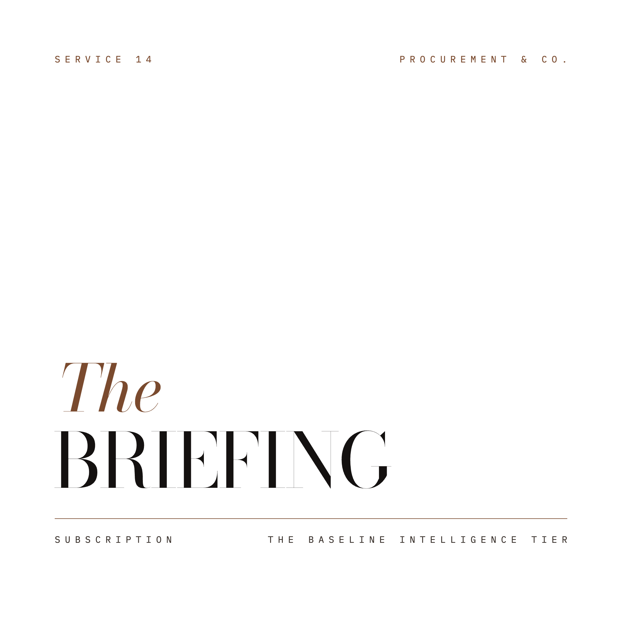 THE BRIEFING
