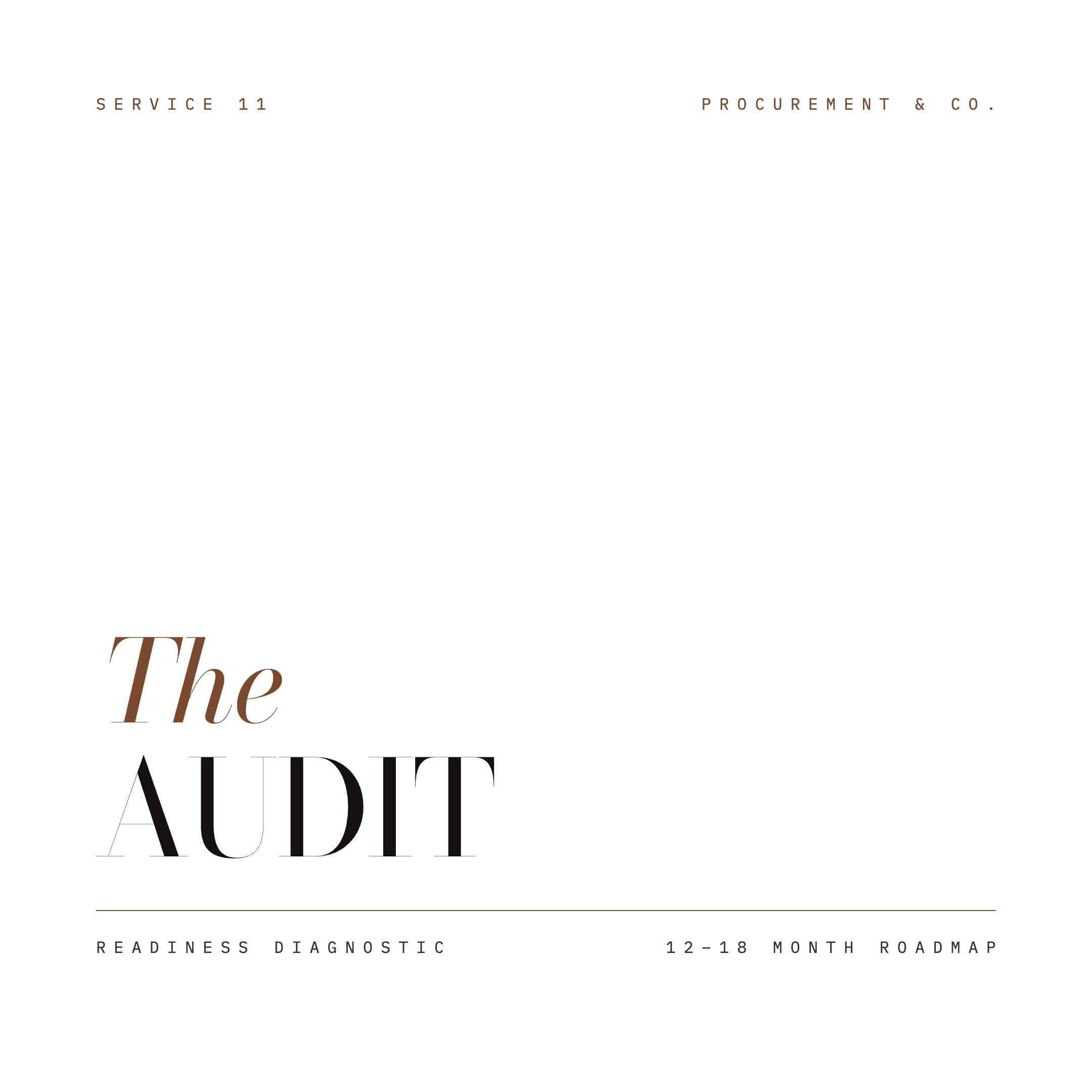 Service 11 · The Audit.png
