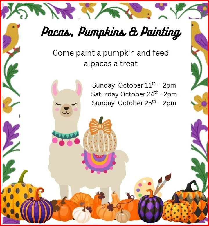 Pacas, Pumpkins & Painting