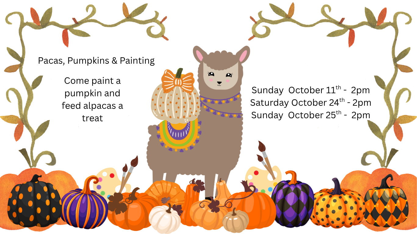 Pacas, Pumpkins & Painting (1).png