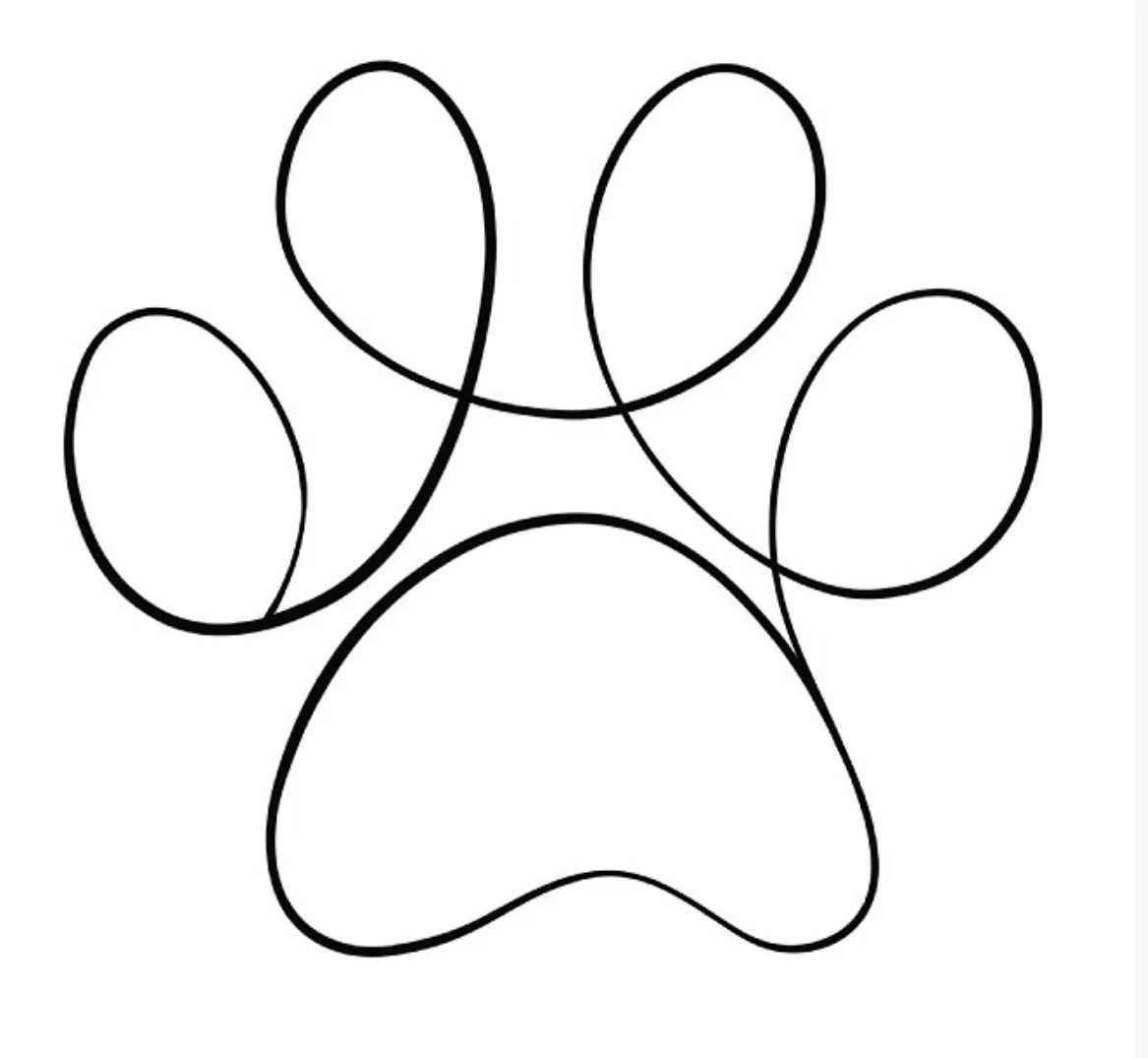 Zoomies Pet Sitting LLC