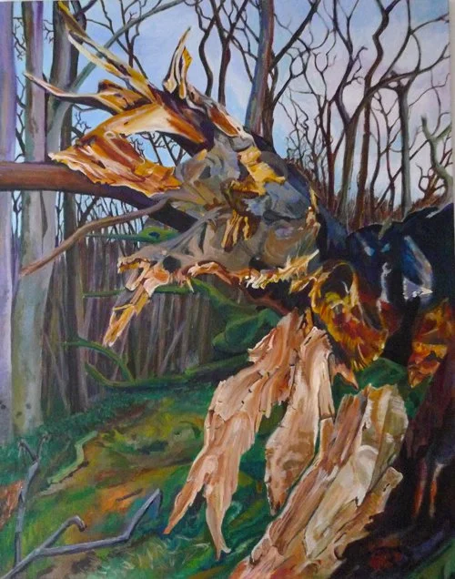 Crispian Heath, Fallen Beech Tree.jpg