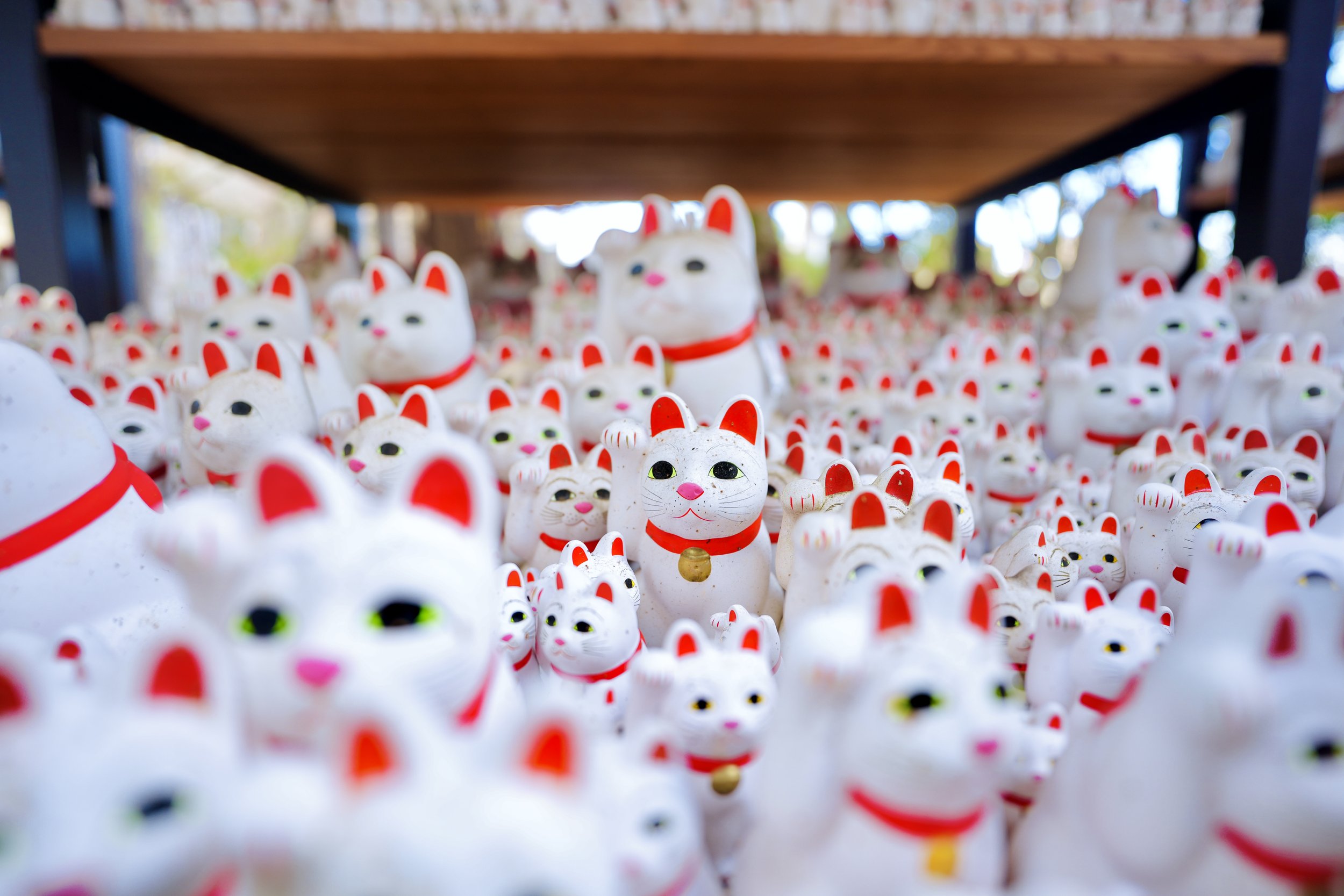 Temple Light in a City of Millions