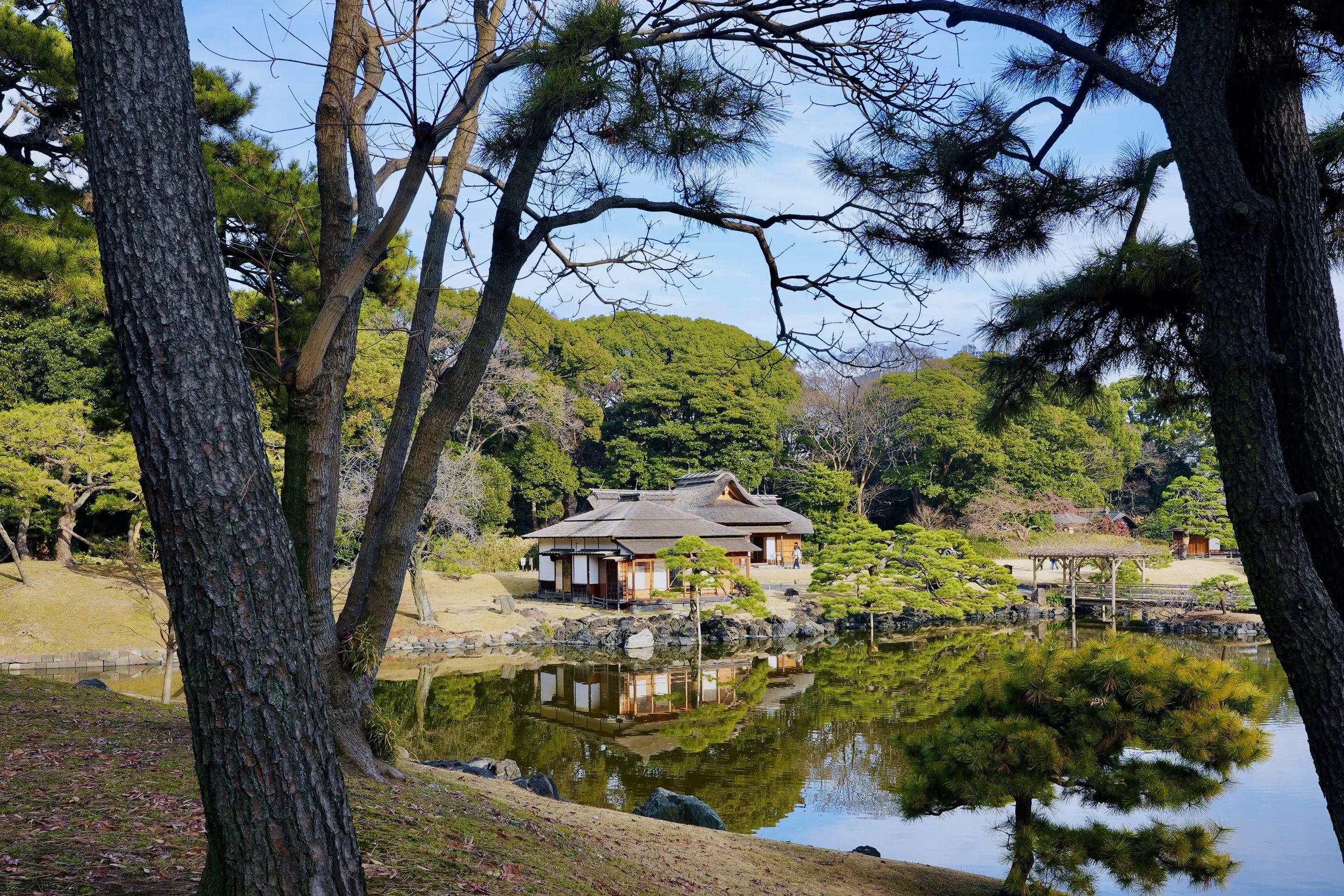 Between Tides and Towers