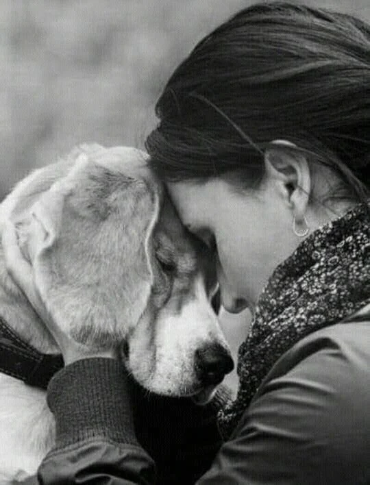 Grieving the Loss of a Pet: Why It Hurts and How Therapy Helps