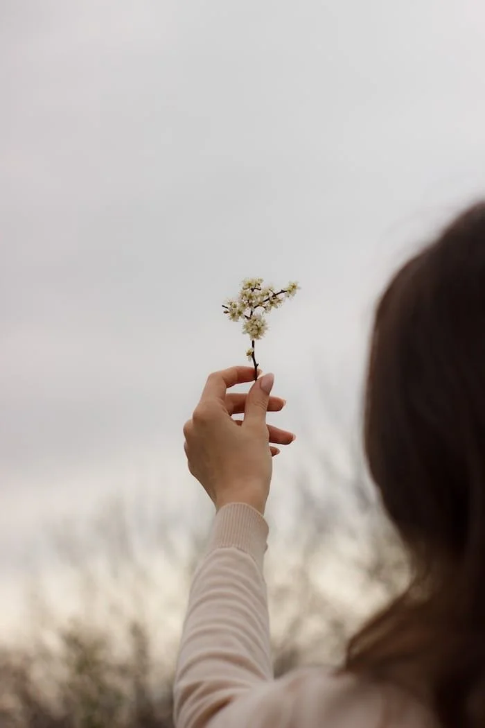 What Is a Trauma-Informed Therapist? | Trauma-Informed Therapy in CT