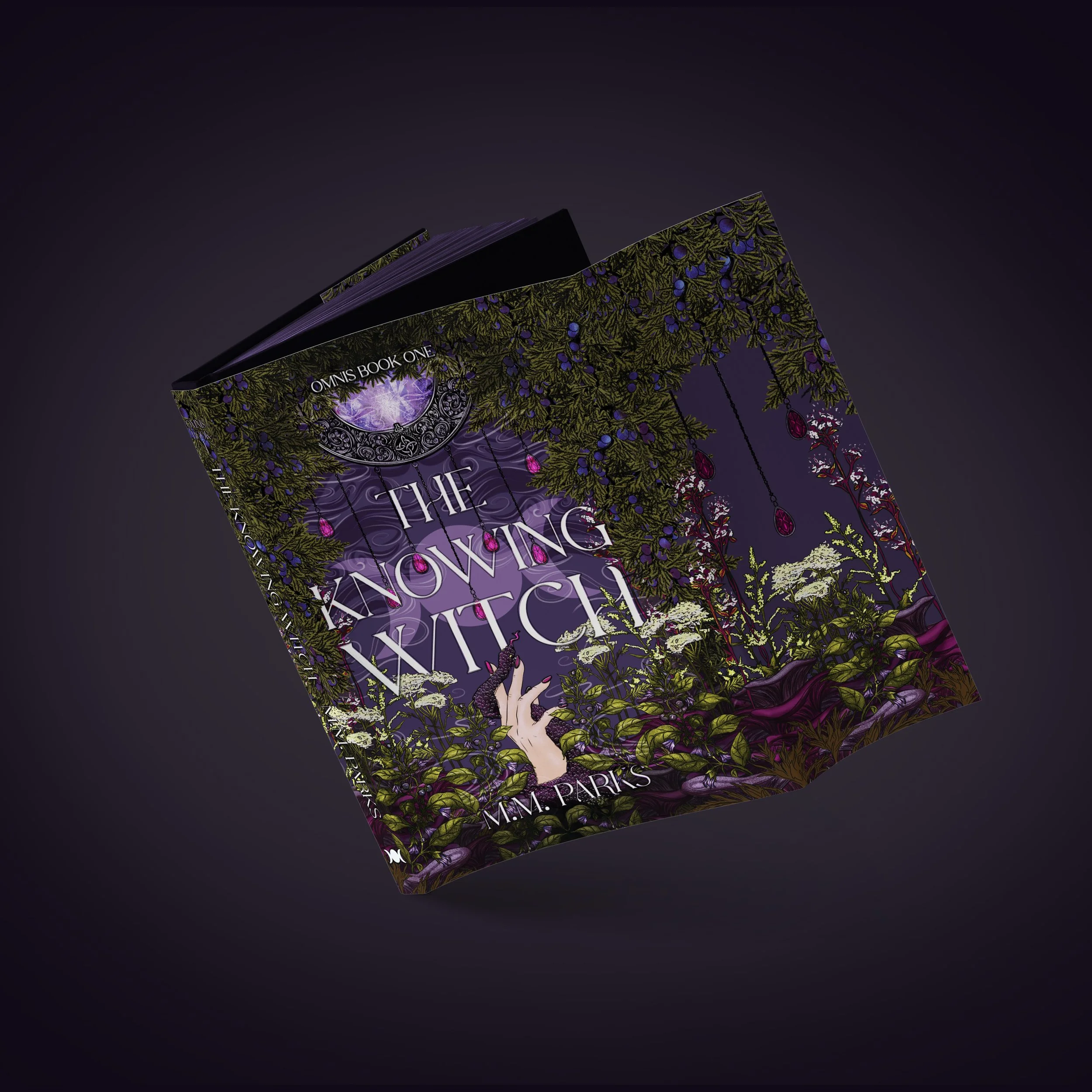 The Knowing Witch Special Edition