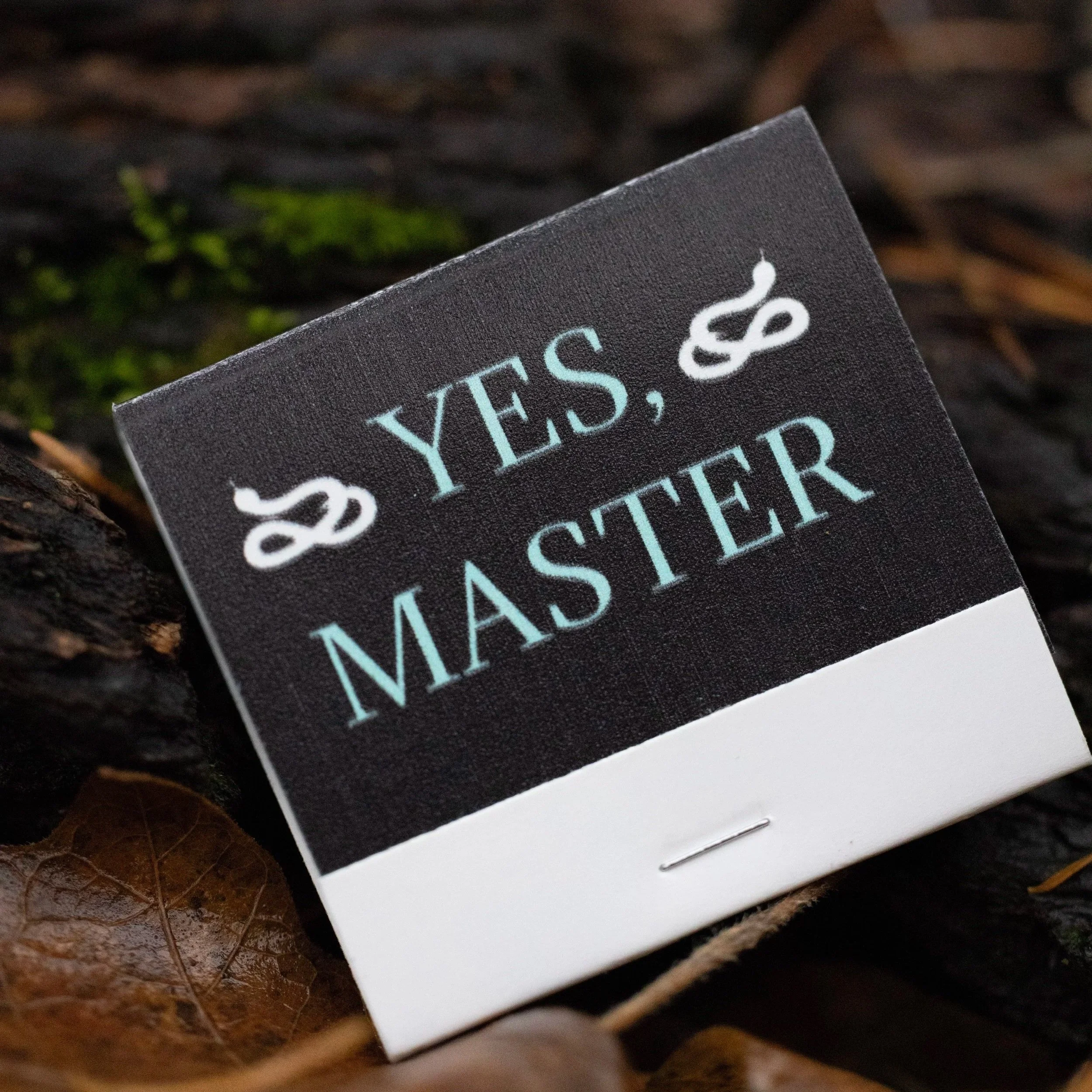 Yes, Master matchbook