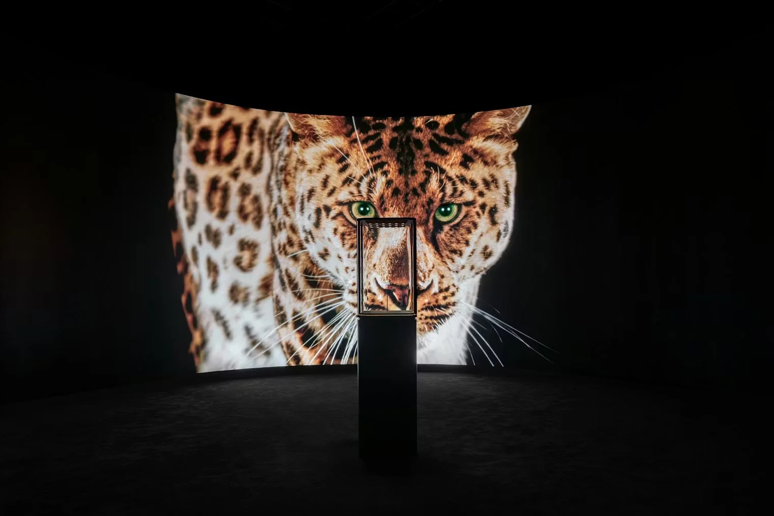 Cartier Panthère “Into the Wild”: joyería, Miami y el regreso del lujo felino en clave contemporánea