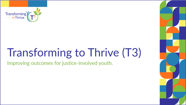 image of Title slide for an E2 Navigator presentationgram.