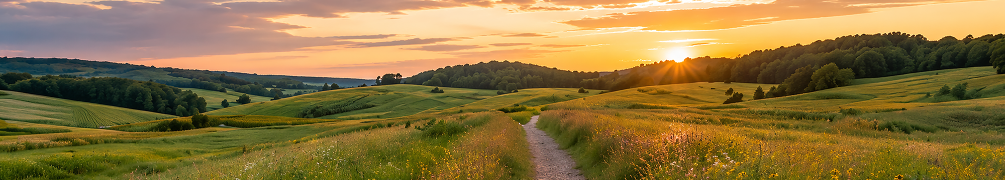 Wisconsin landscape with a path through rolling fields at sunset.