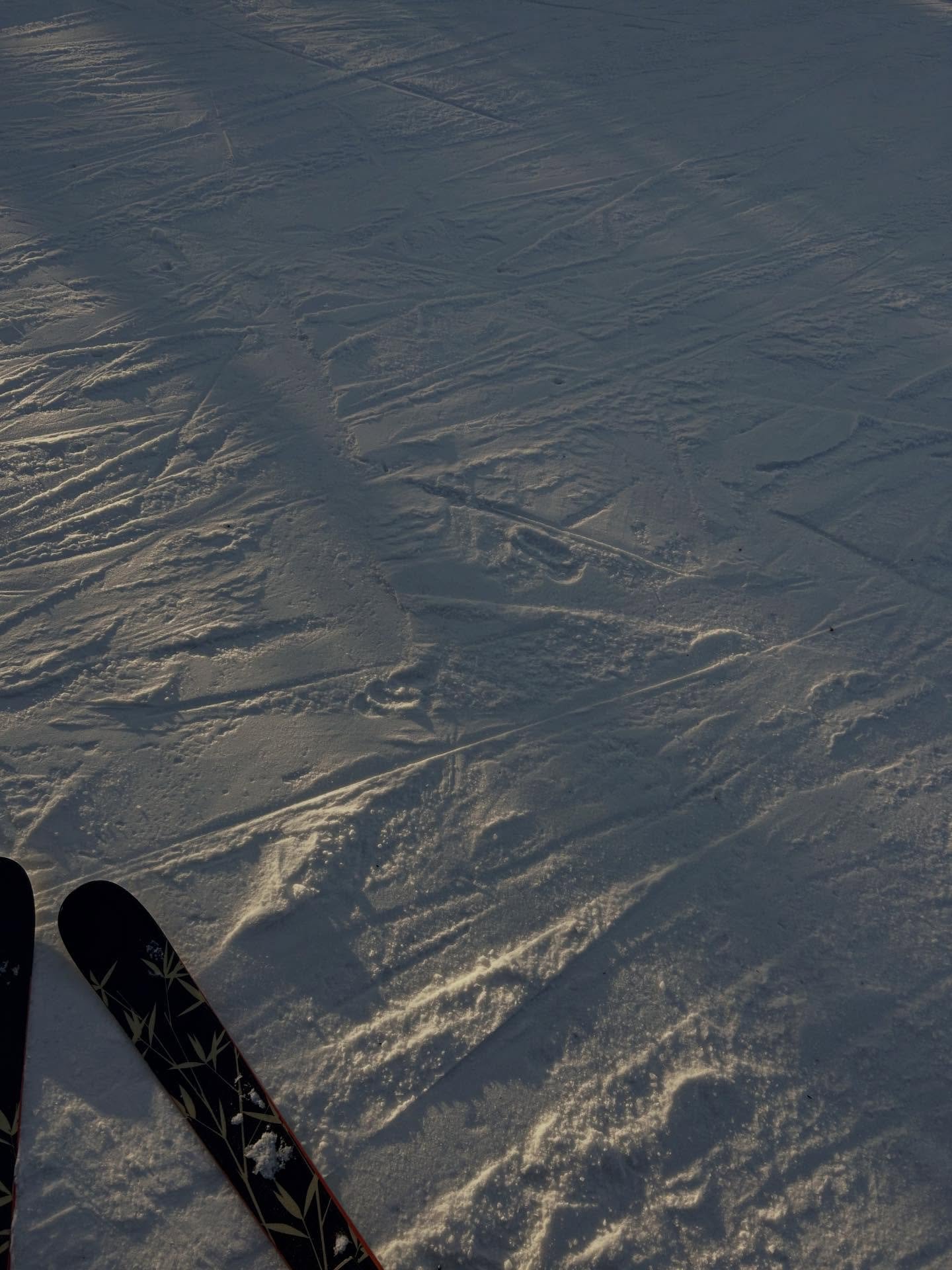 ressortir les planches ⛷️