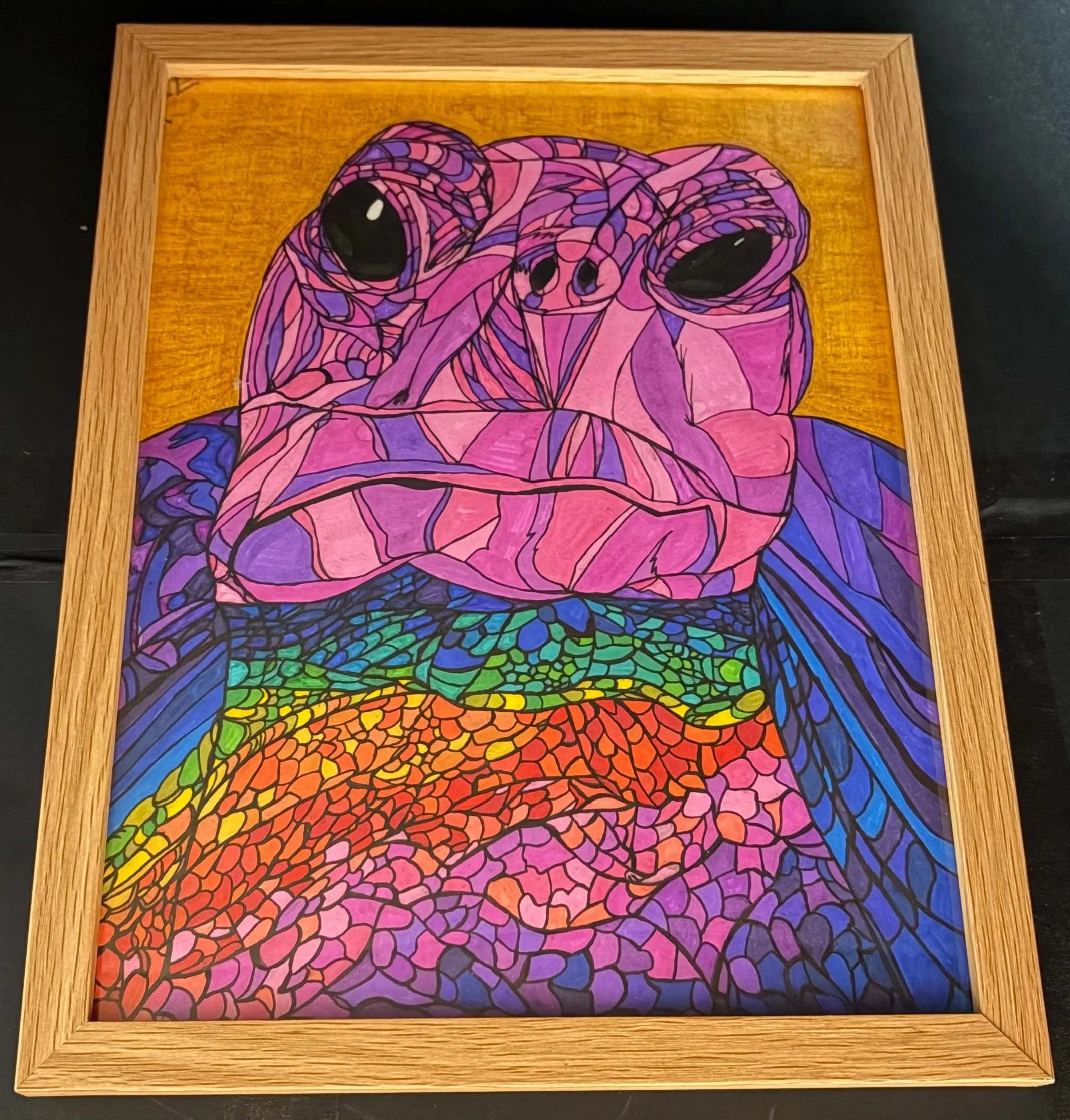 Rainbow Turtle(Click  or hover over image  for Close up)