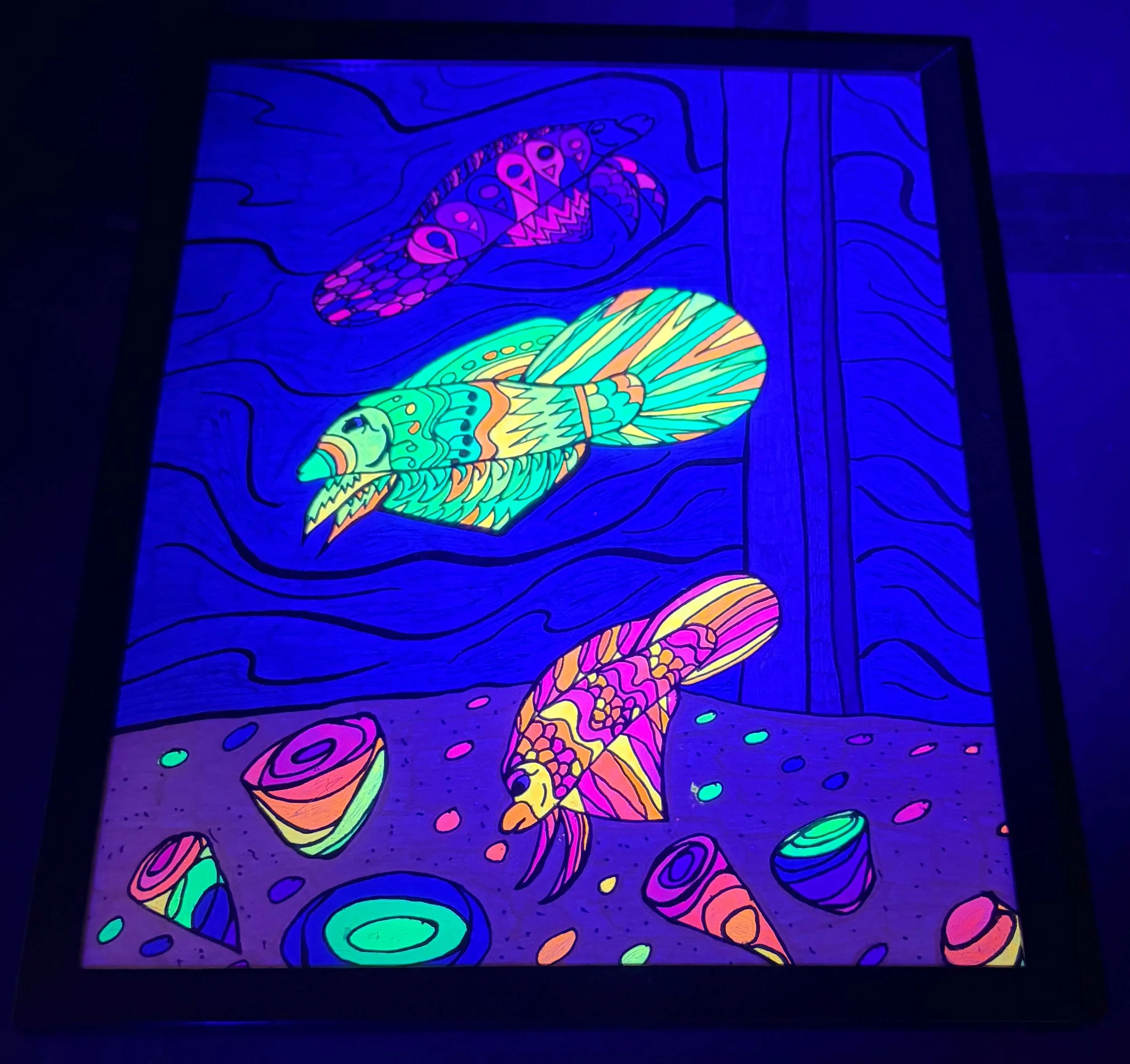 neon fish tank black light .jpg