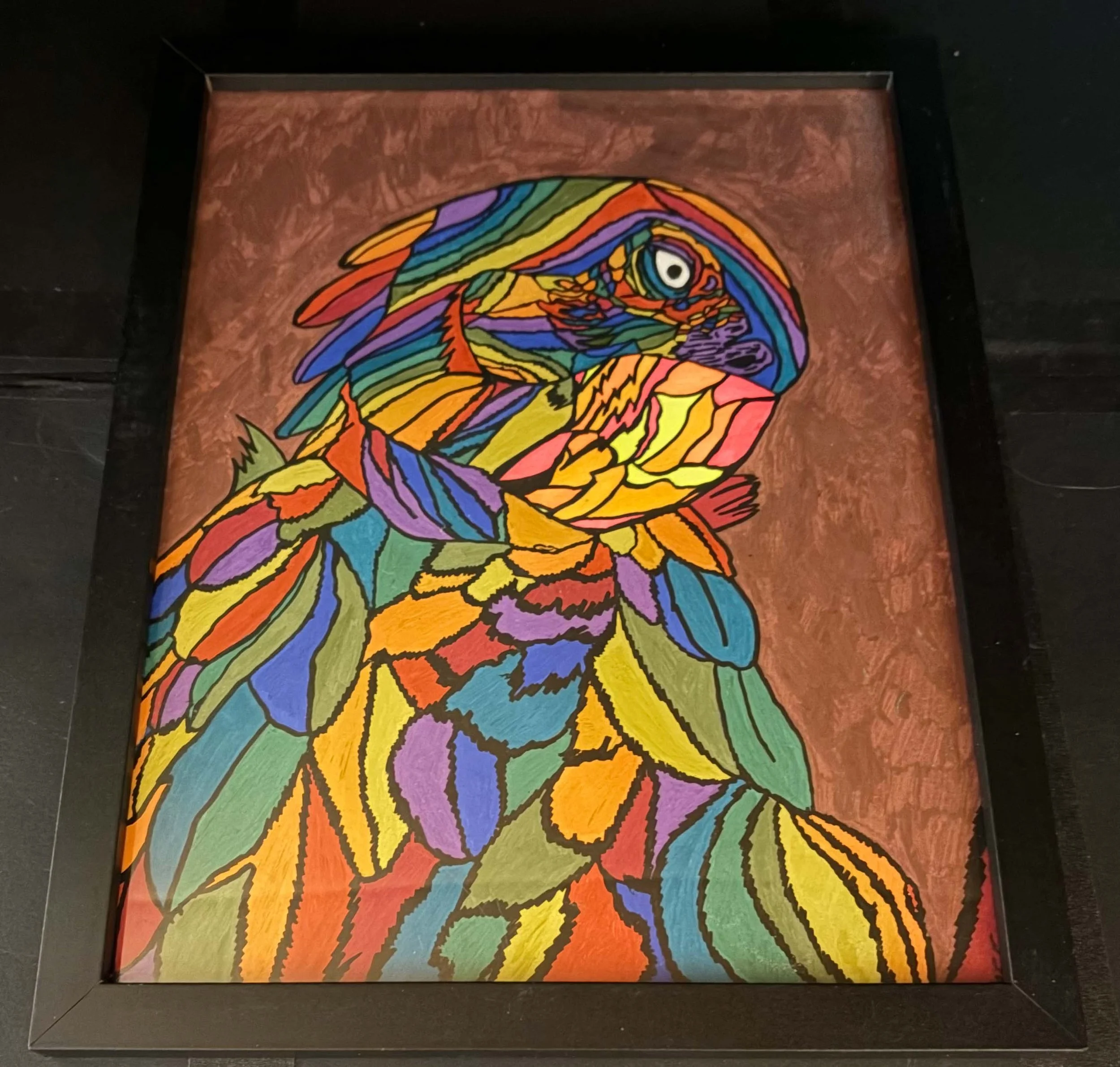 Brown Background Dark Rainbow Parrot(Click  or hover over image  for Close up)