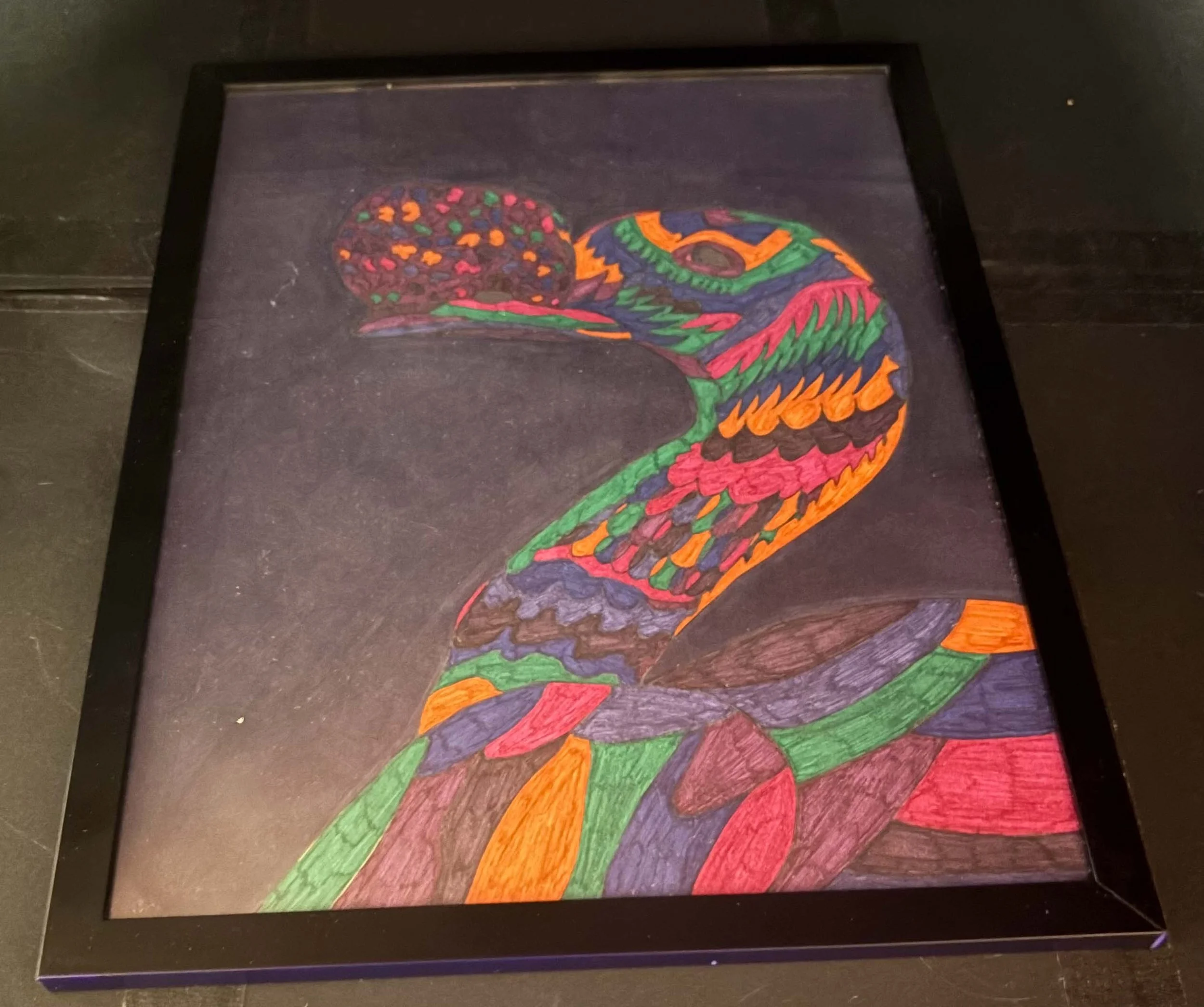 Dark Knobbed Duck(Click  or hover over image  for Close up)