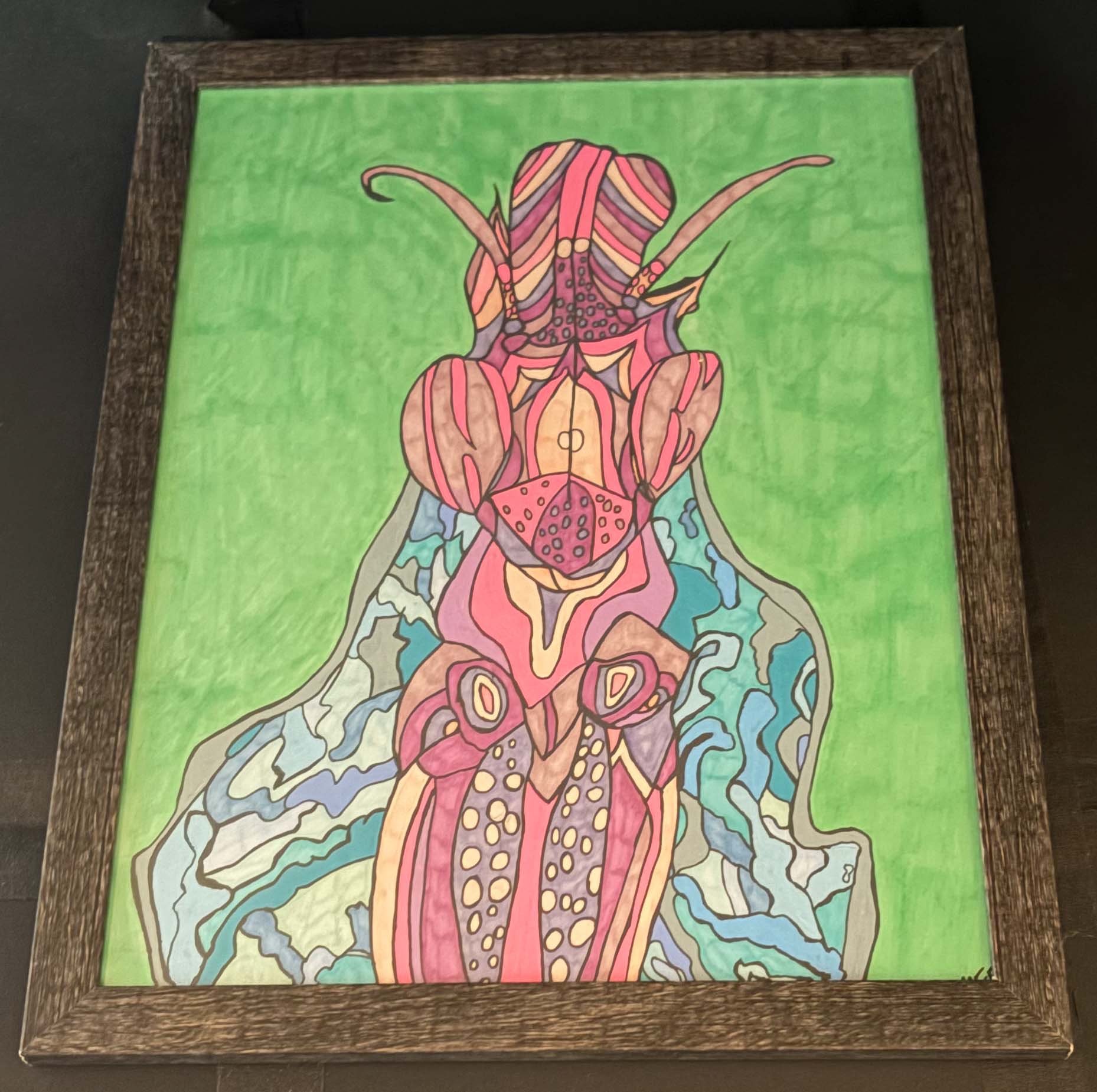 Cool Praying Mantis(Click  or hover over image  for Close up)