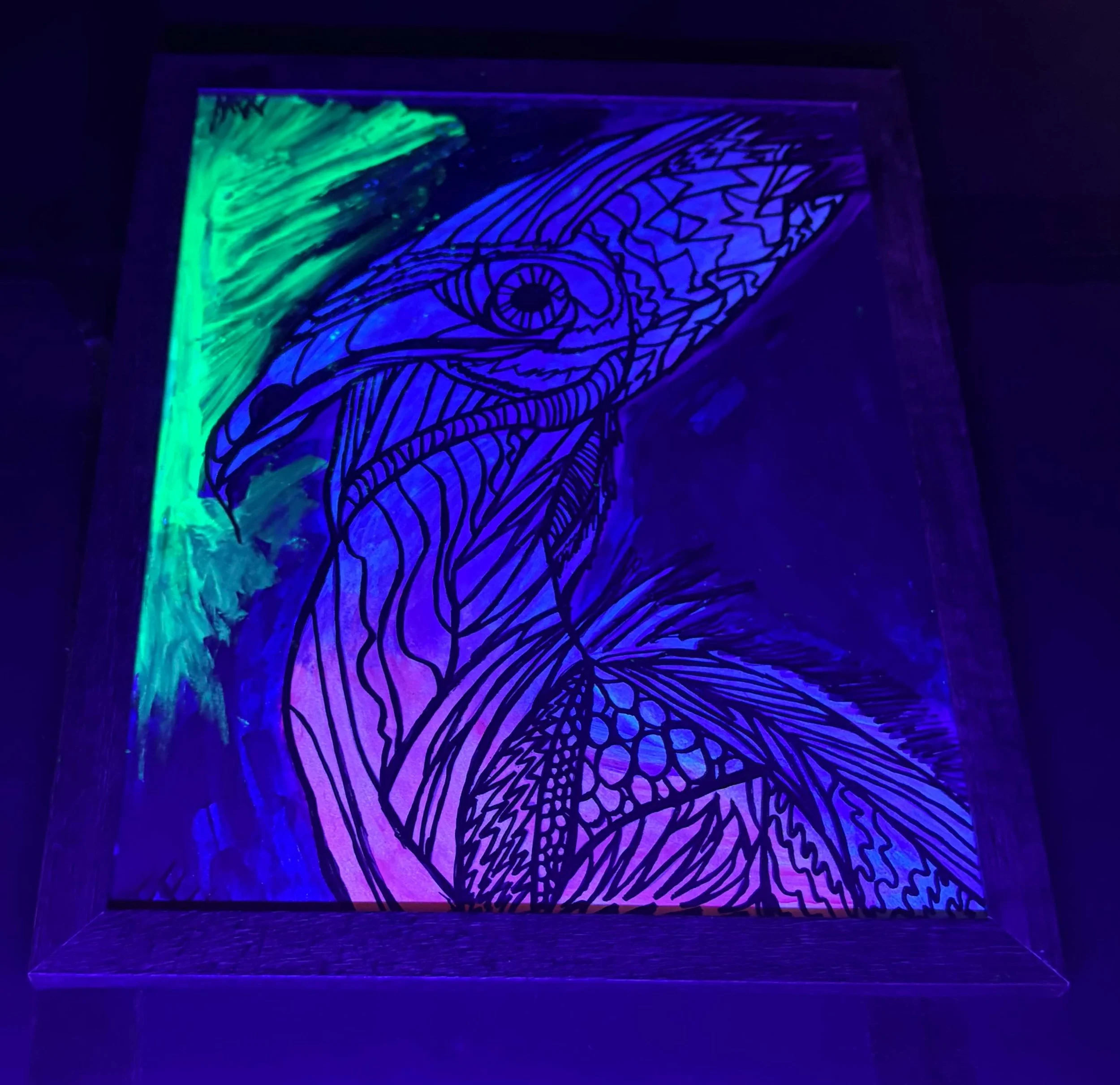 up cycled cassowary black light 2 .jpg