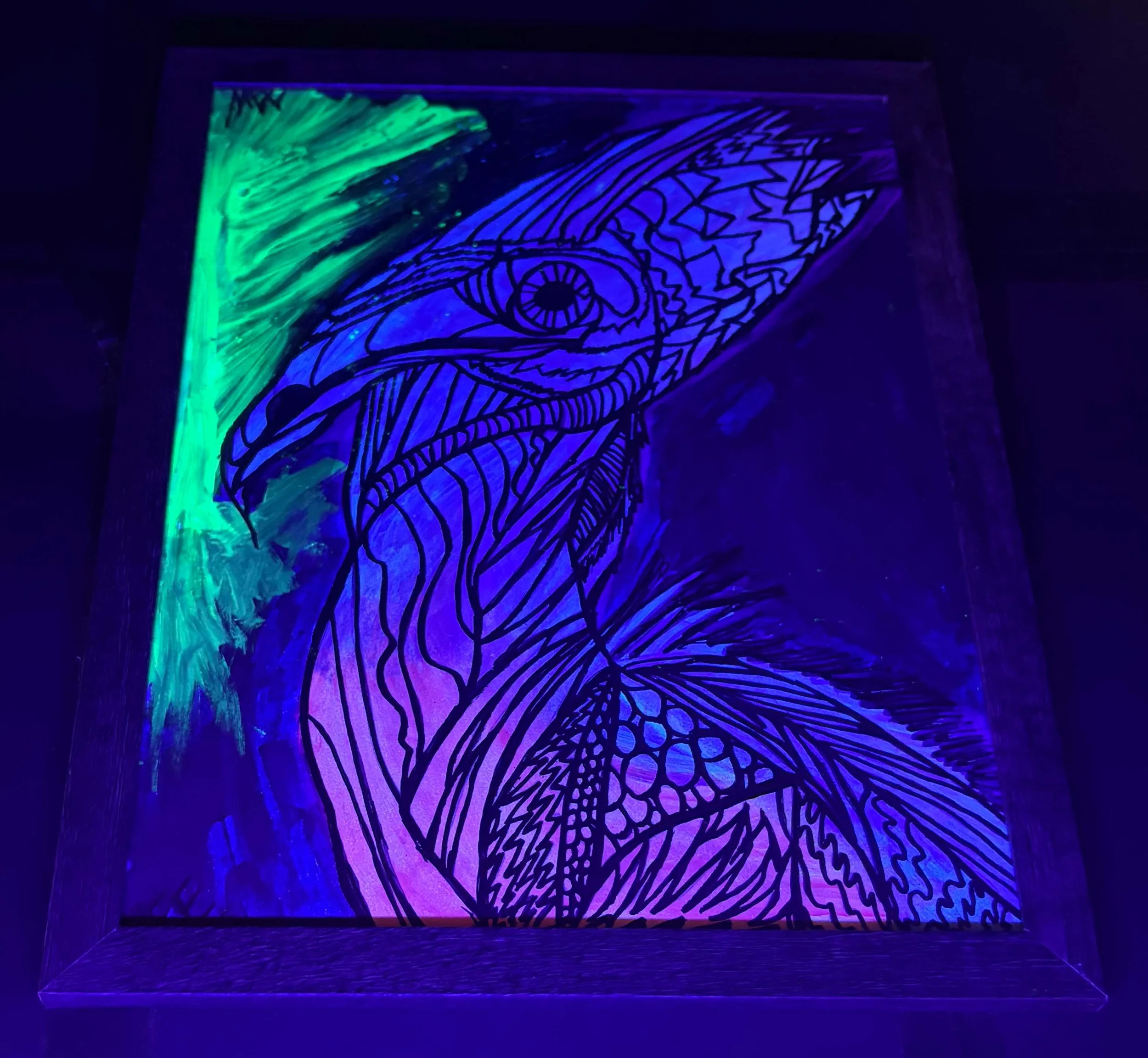 up cycled cassowary black light .jpg