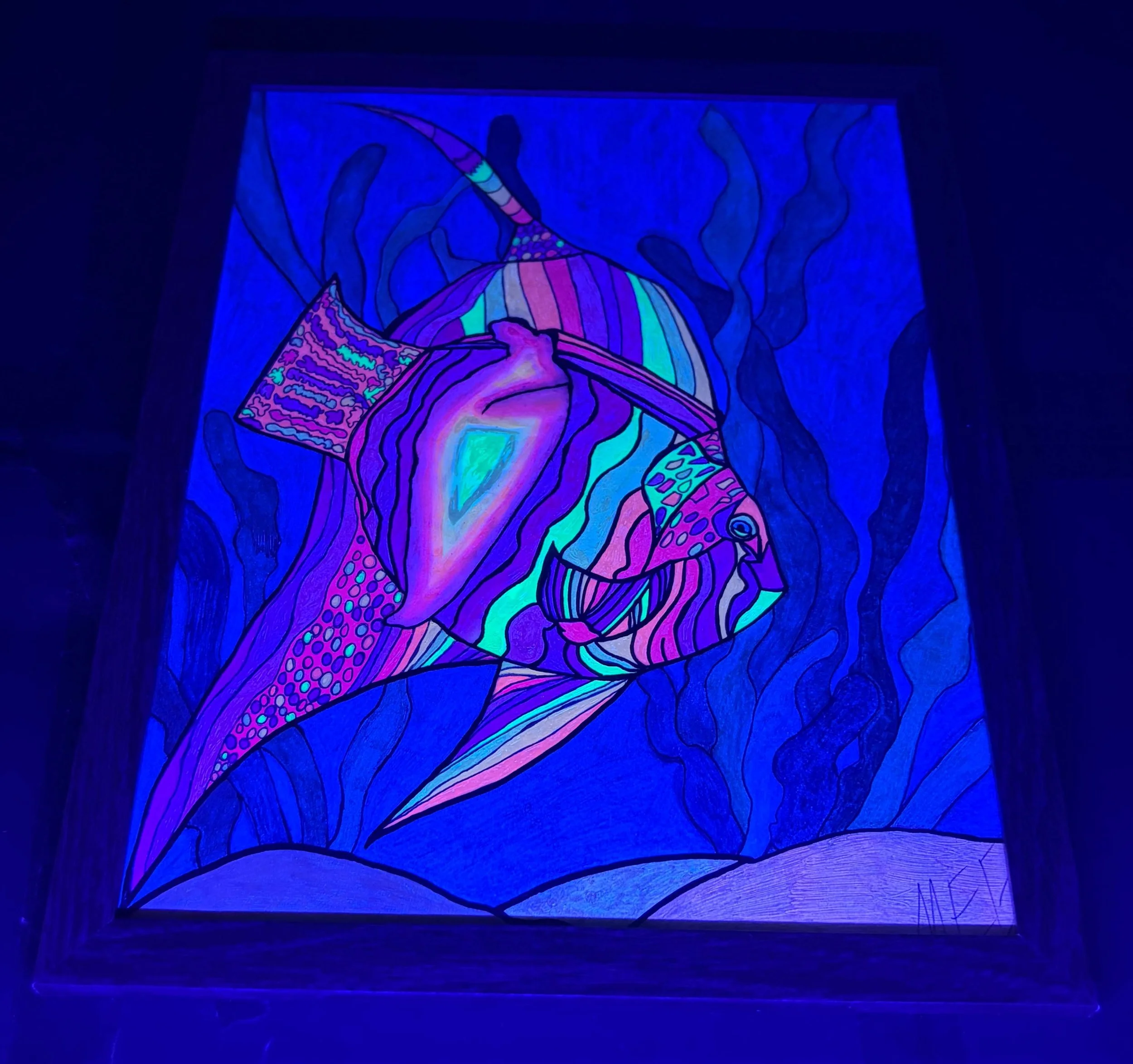 warm angelfish black light .jpg
