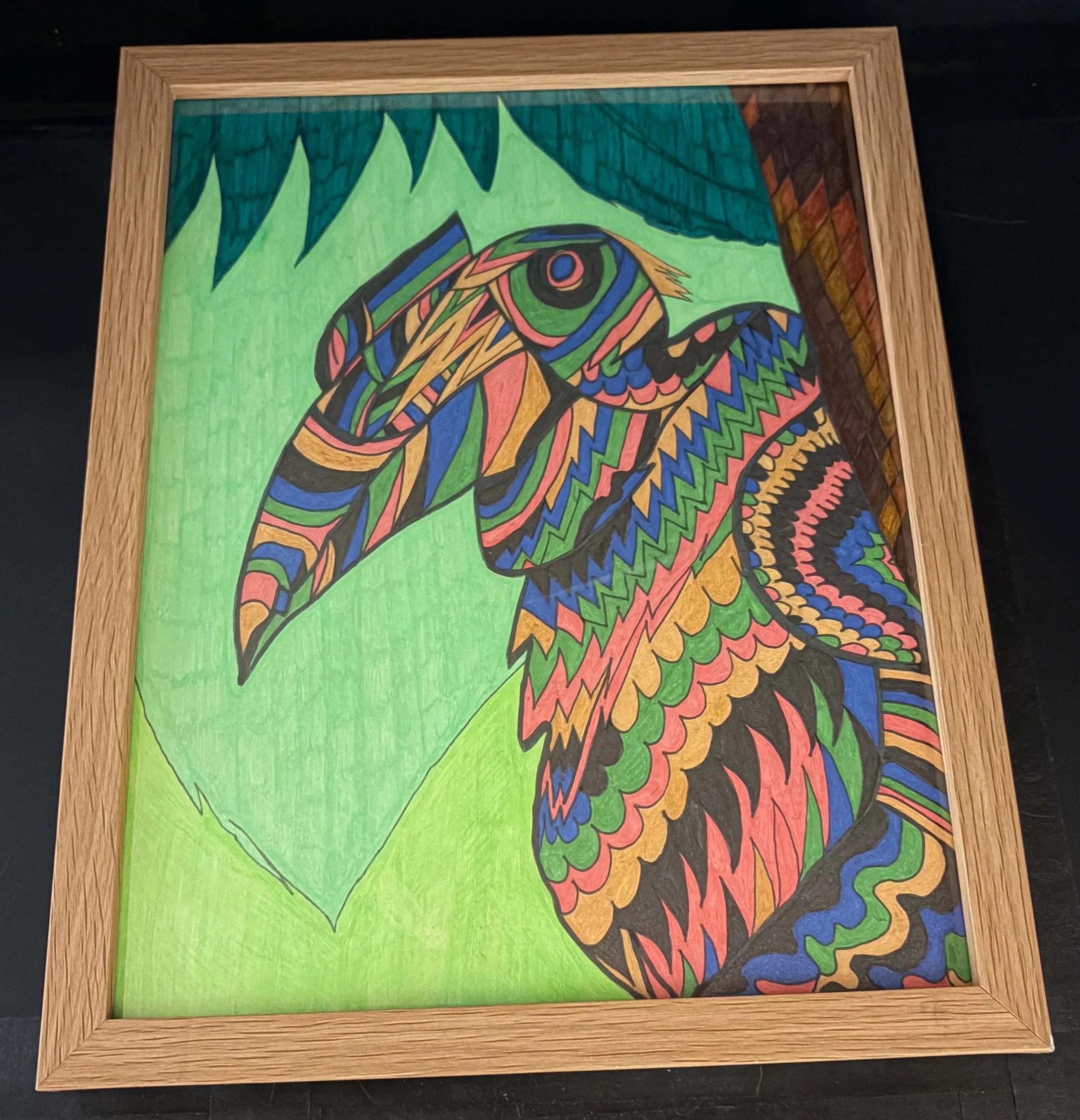 Dark Toucan(Click  or hover over image  for Close up)