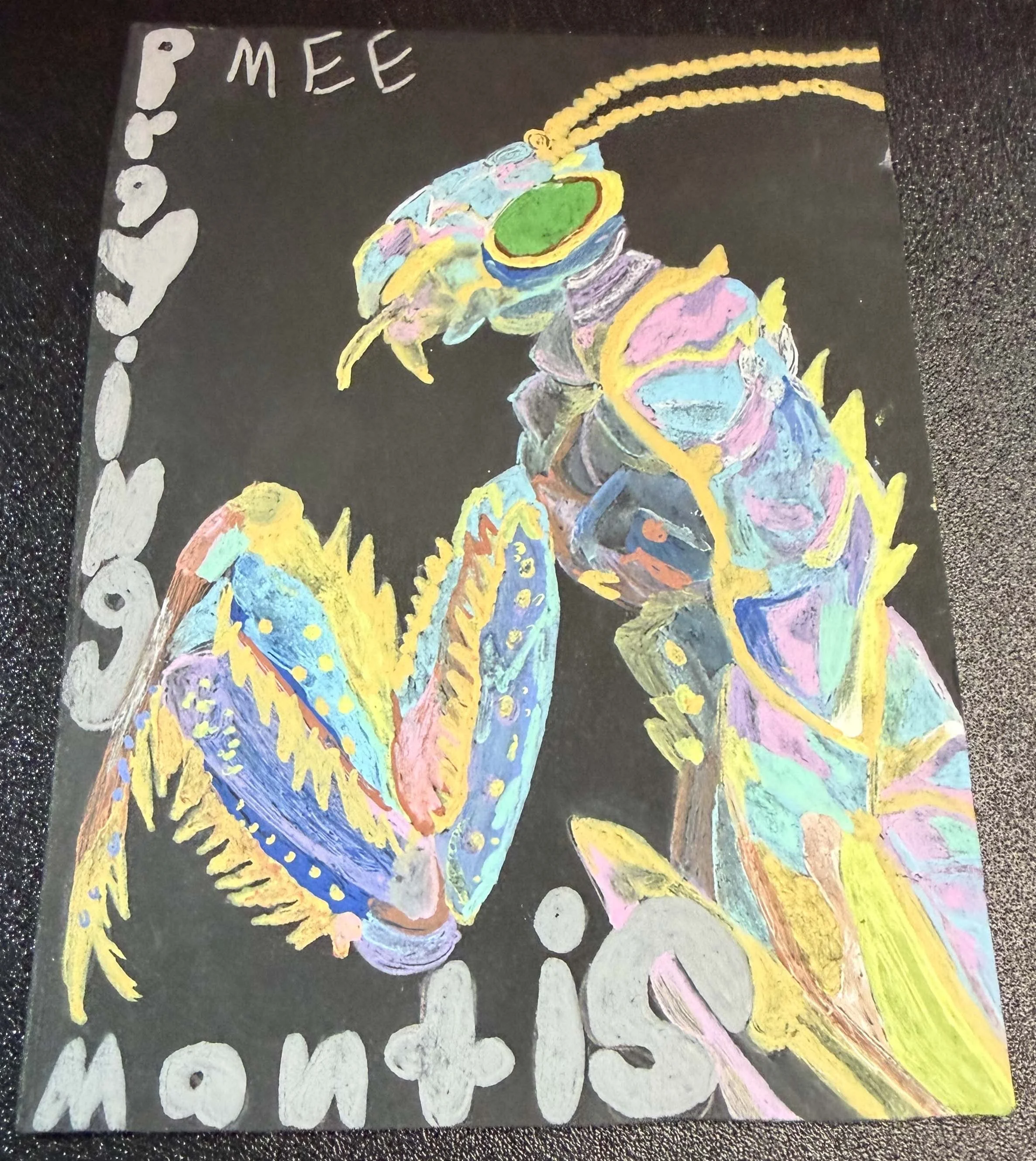Pastel Praying Mantis Magnet
