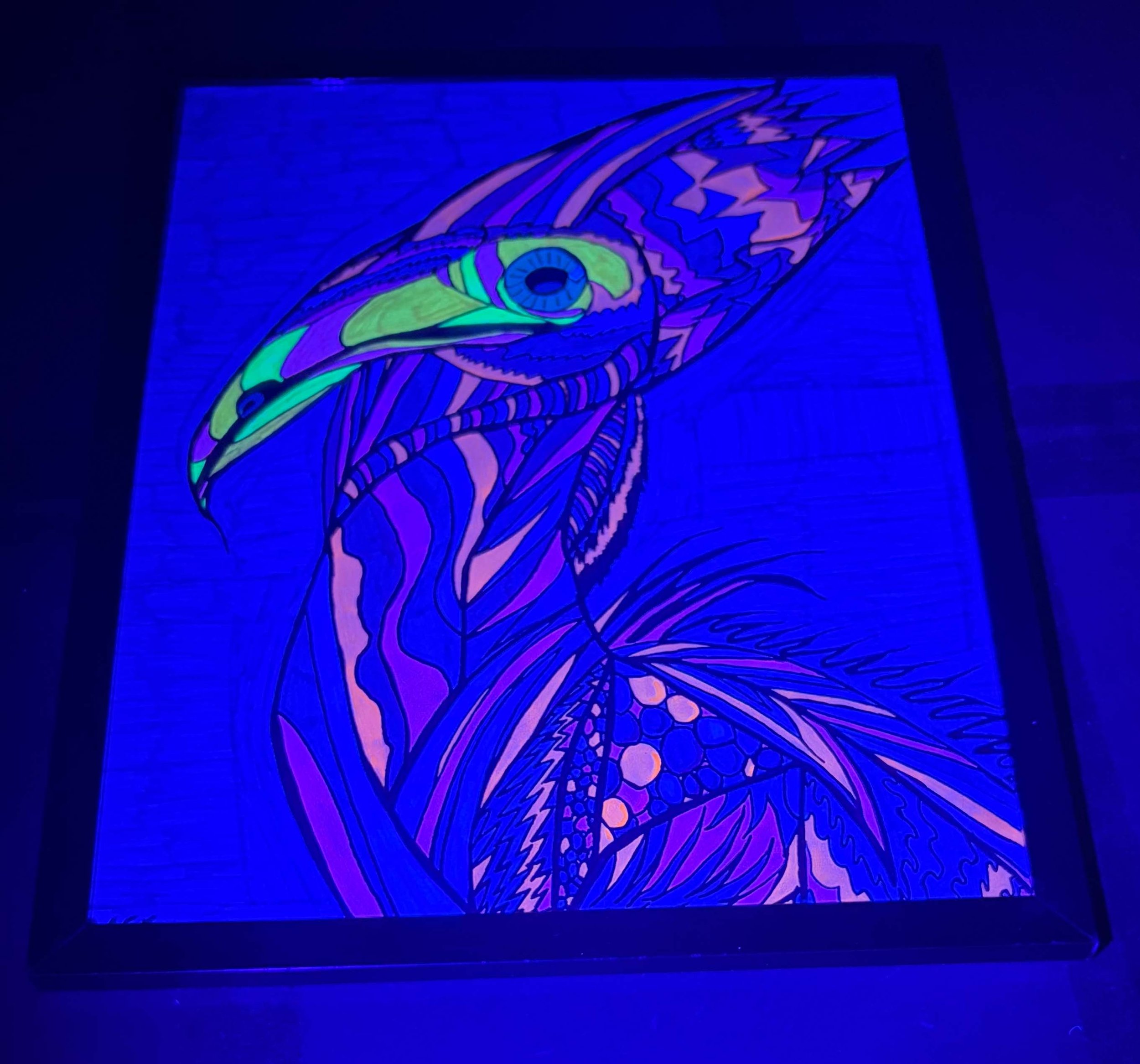 blue background cassowary blacklight .jpg
