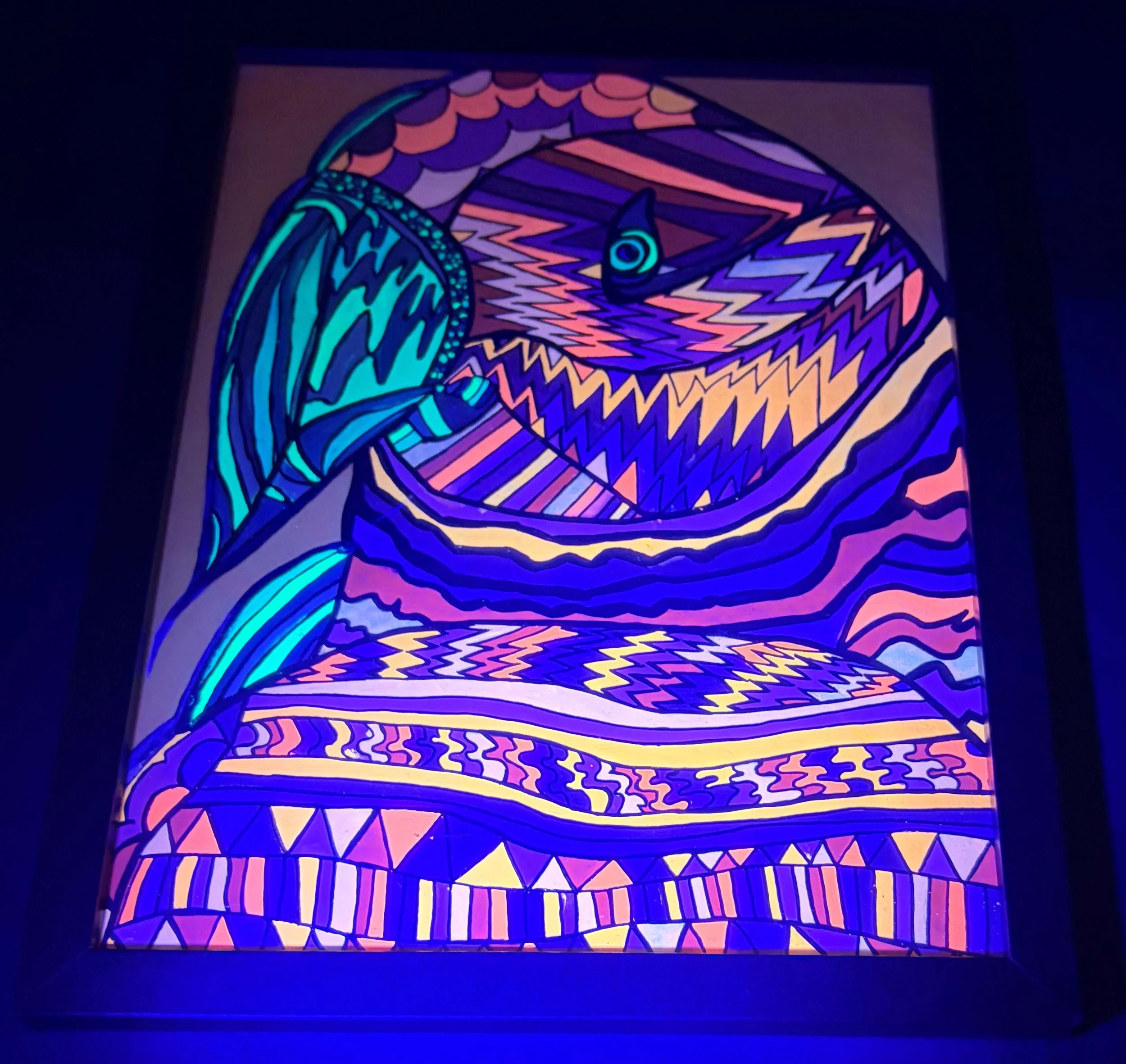 Orange and green parakeet black light 3.jpg