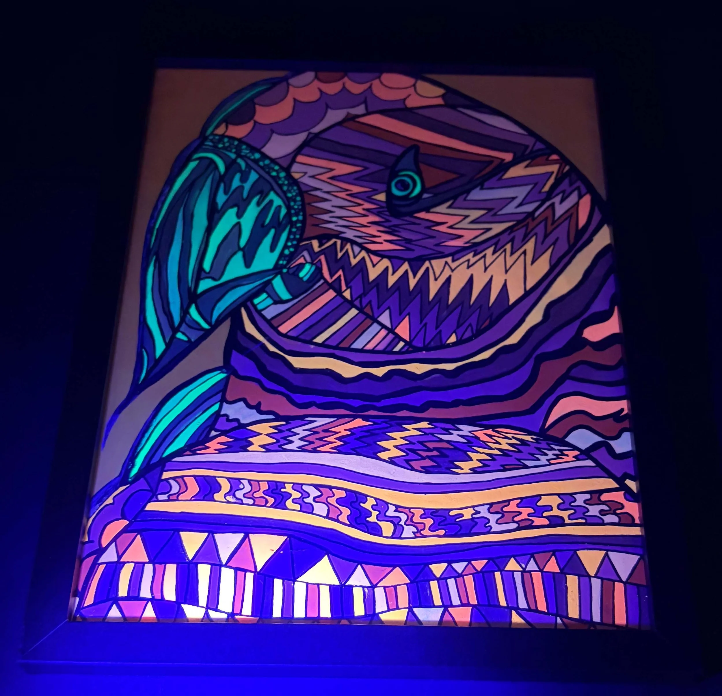 Orange and green parakeet black light 2.jpg