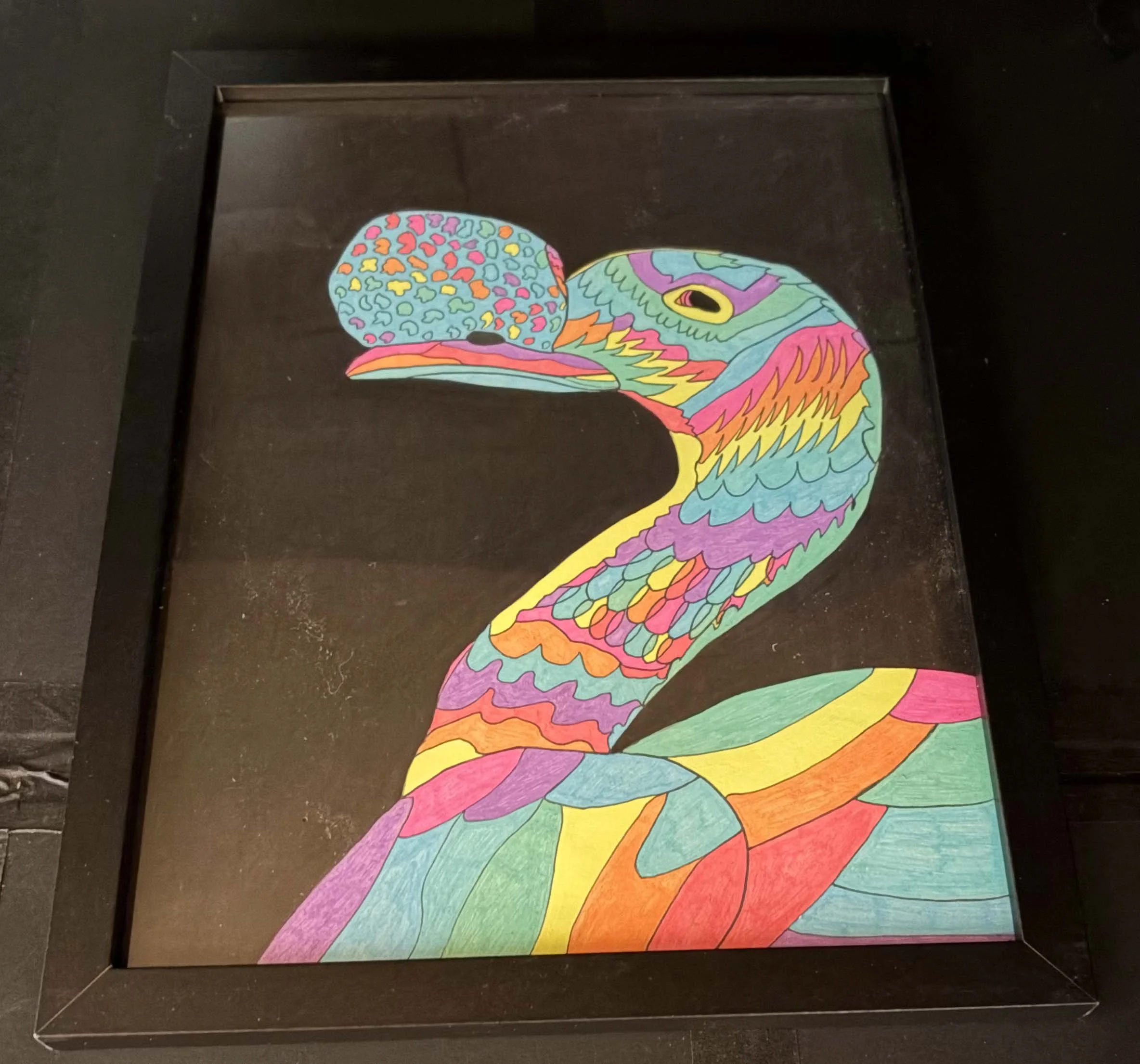 Pastel Knobbed Duck(Click  or hover over image  for Close up)
