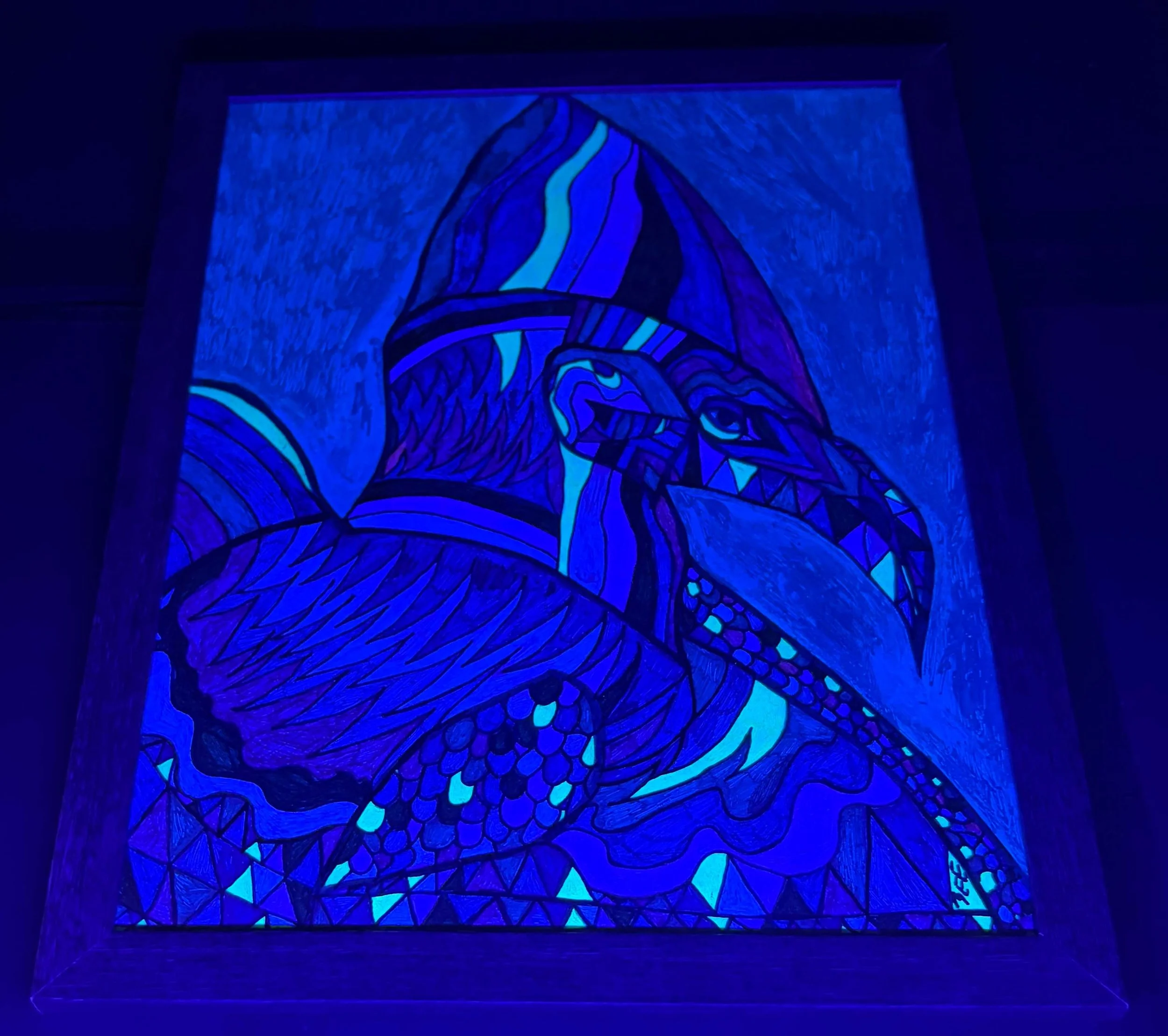 cool colored cassowary black light 2.jpg