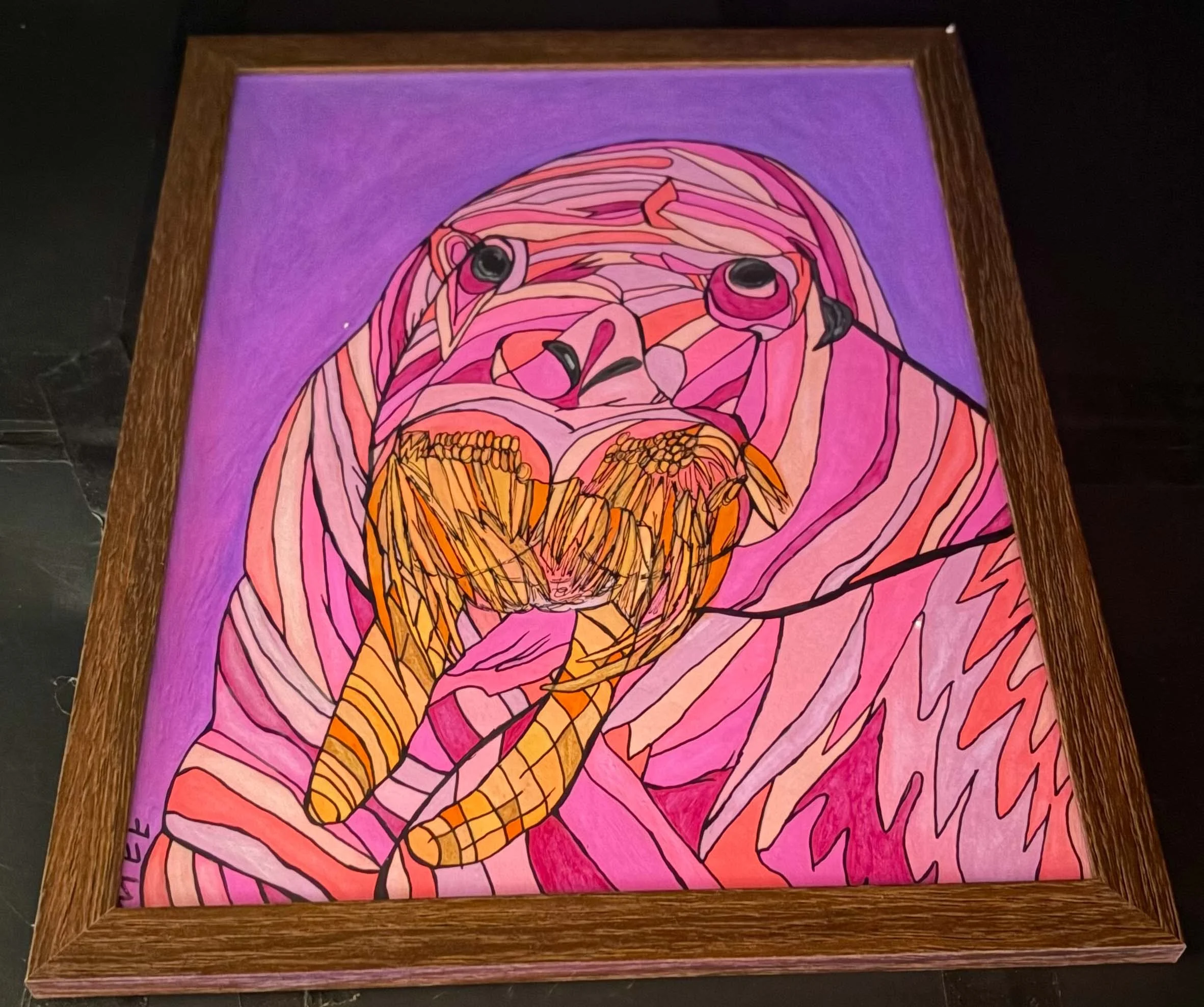 Pink Walrus(Click or hover over image for Close up)