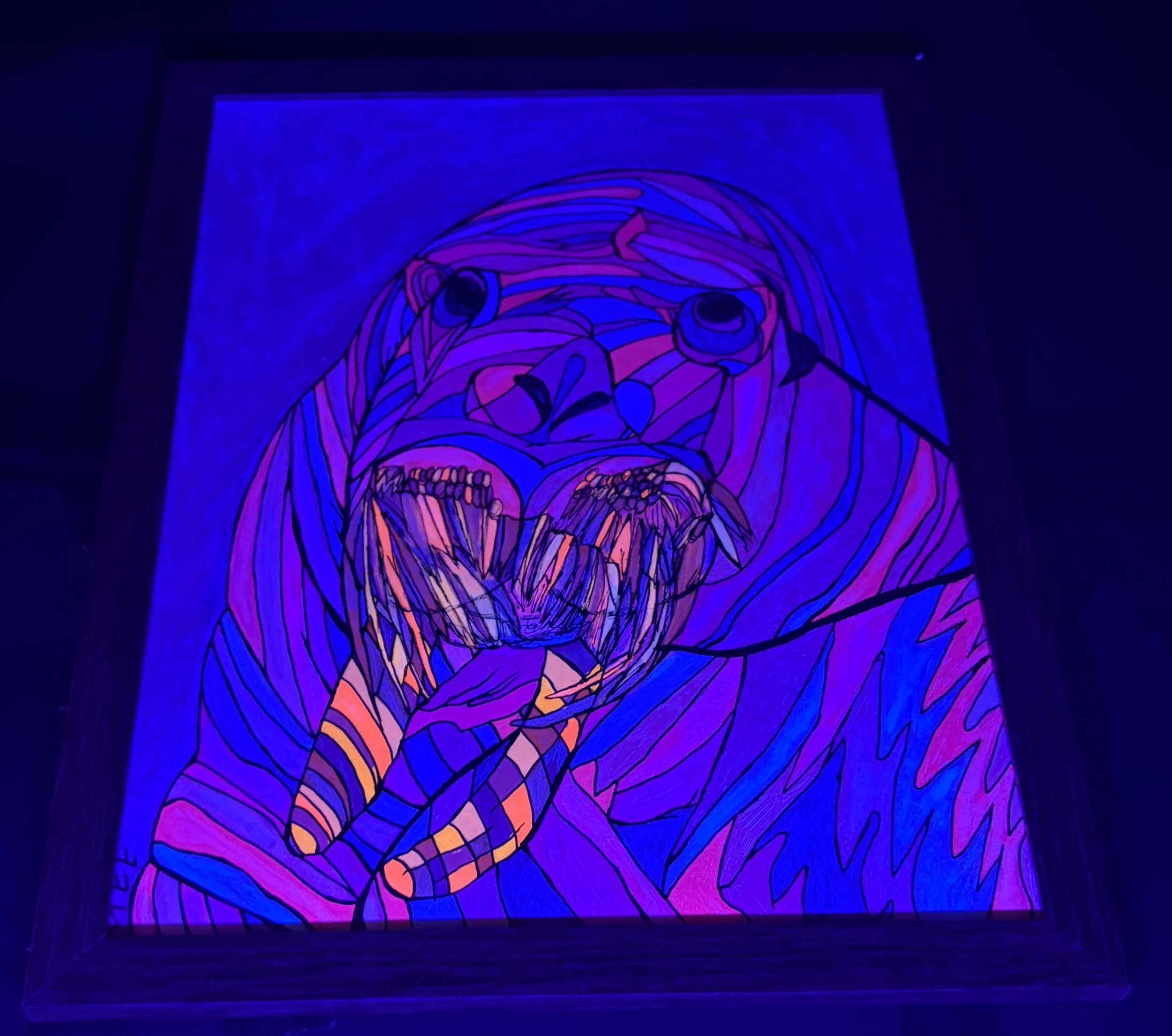 pink walrus black light 2.jpg