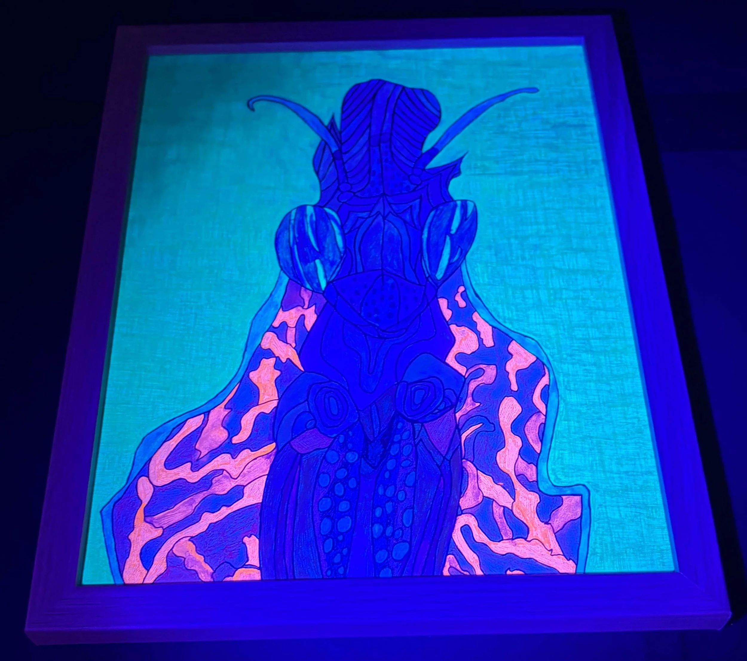 natural praying mantis blacklight.jpg