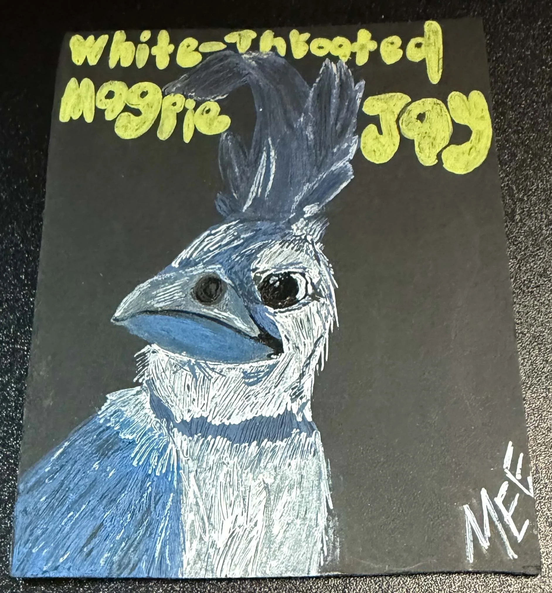 White Throated Magpie Jay Magnet