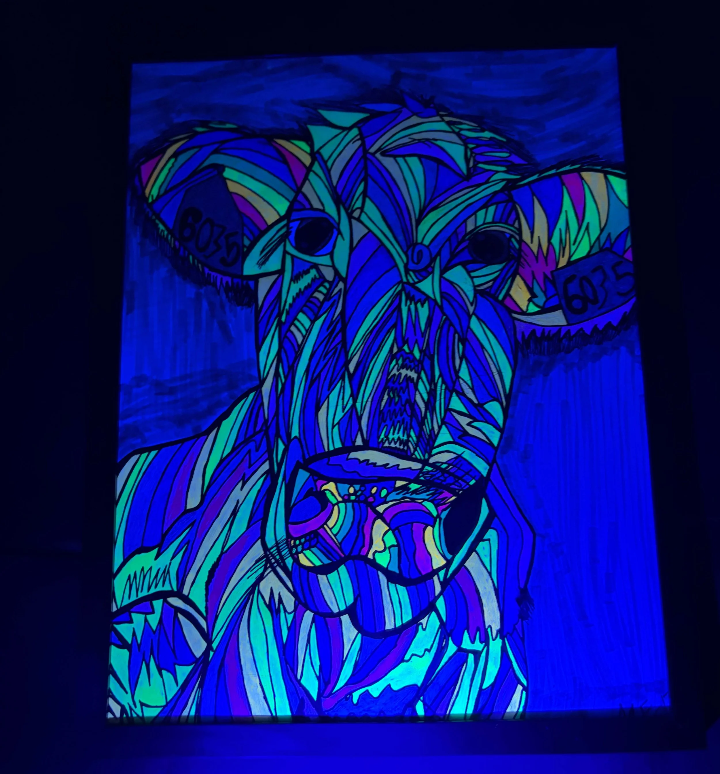 neon pastel 6035 bow black light 2 .jpg