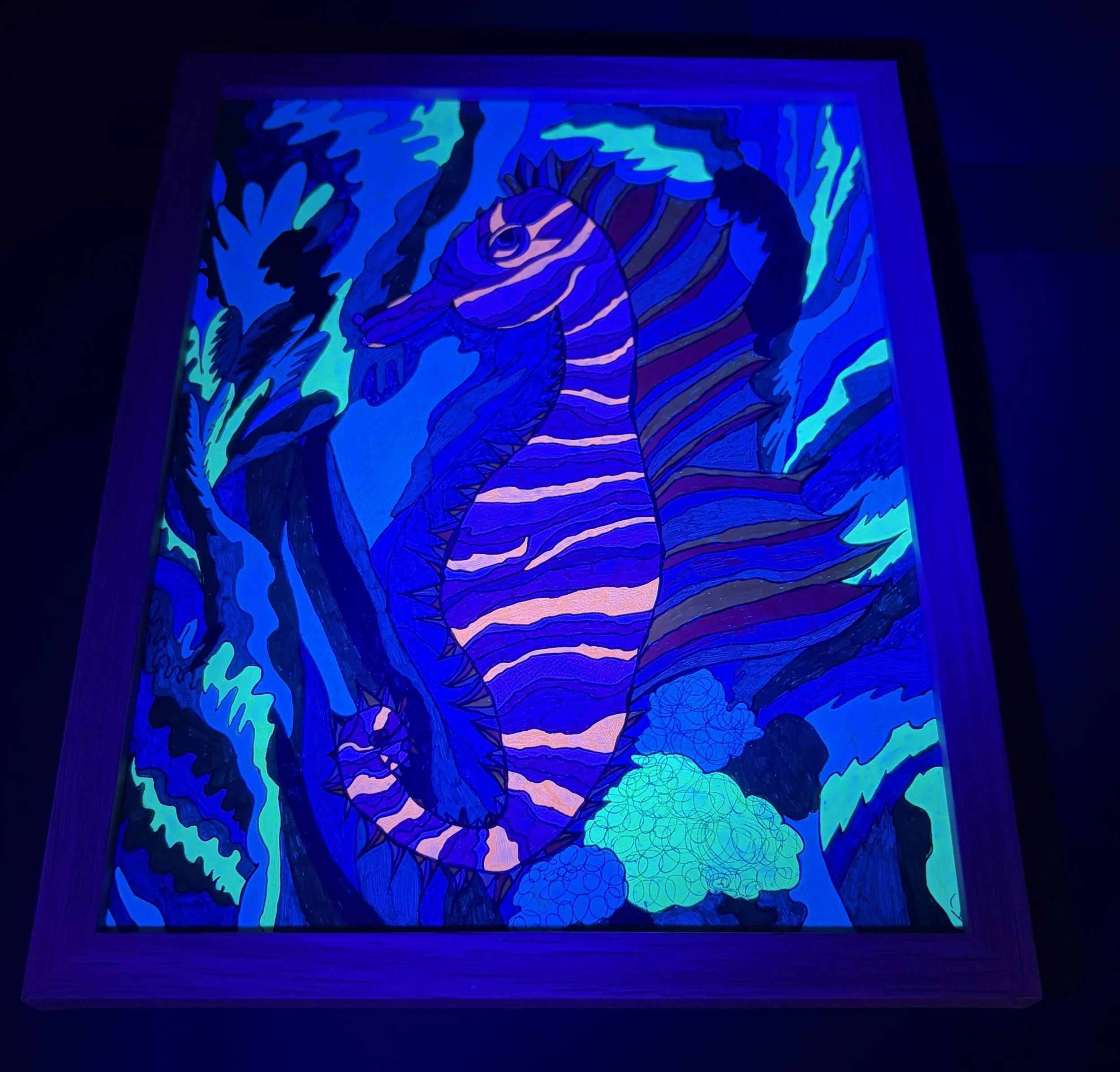 Warm Stripped Seahorse blacklight.jpg