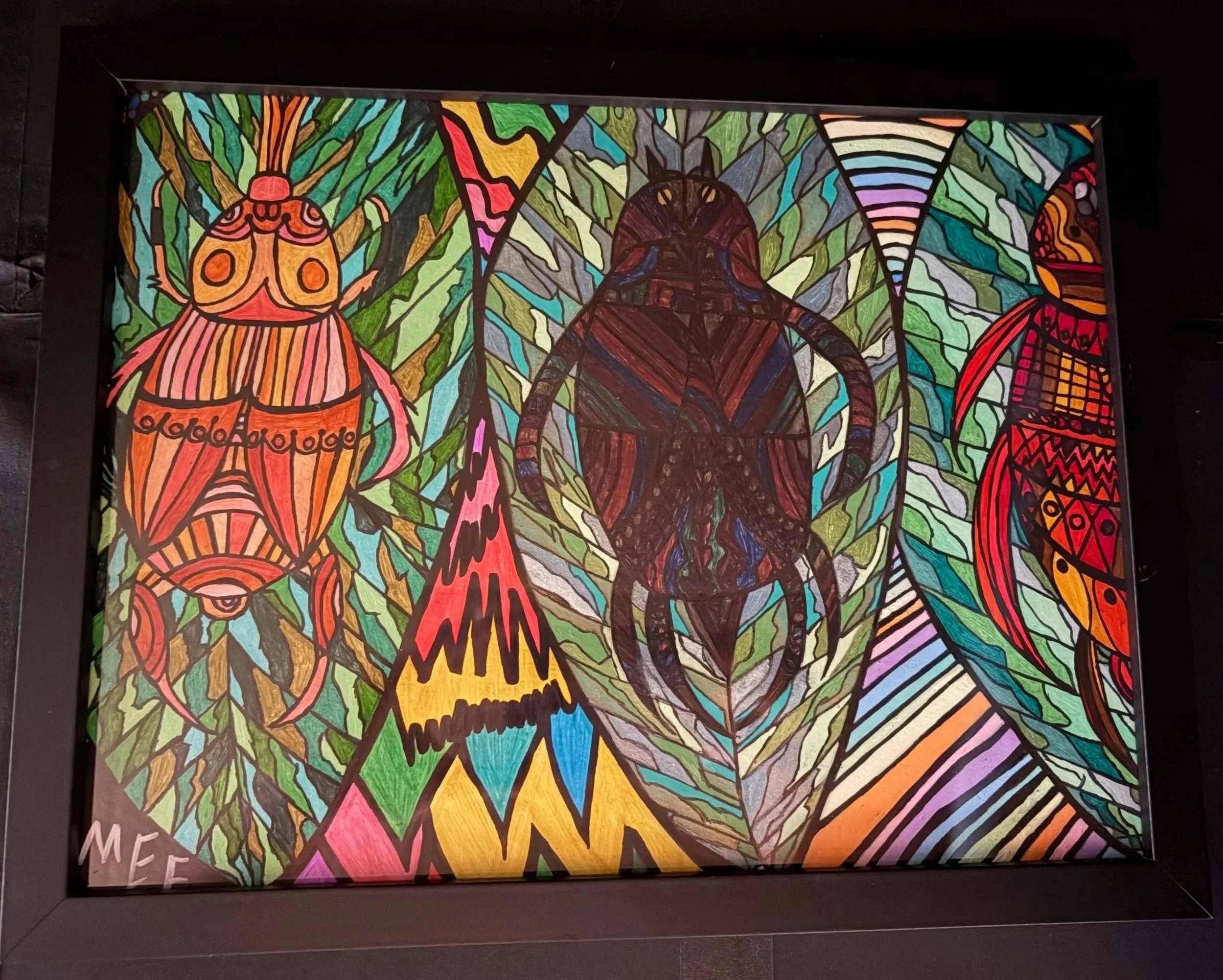 beetles+on+display.jpg