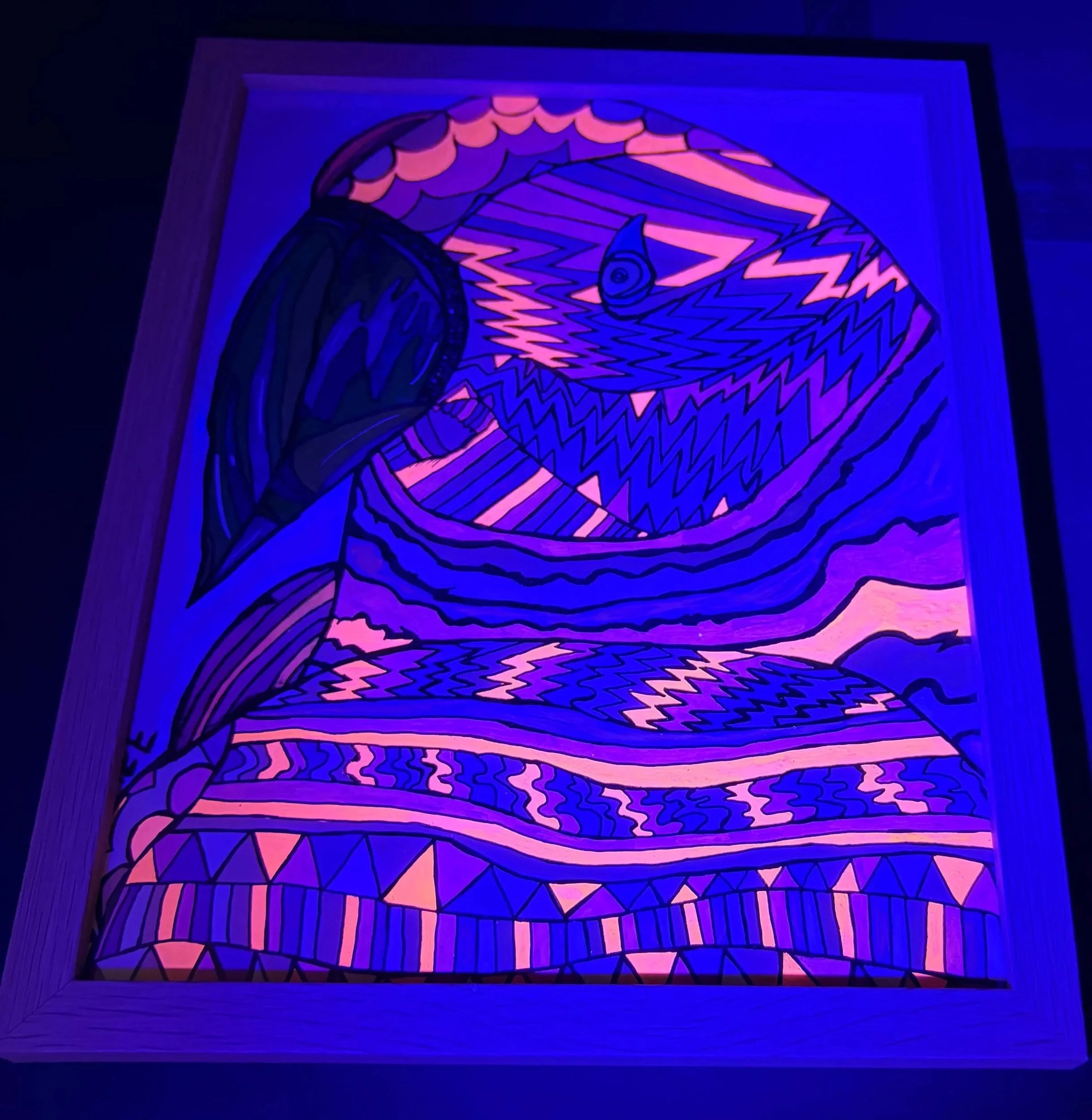 Warm+colored+parakeet+with+cool+colored+beak+blacklight+.jpg