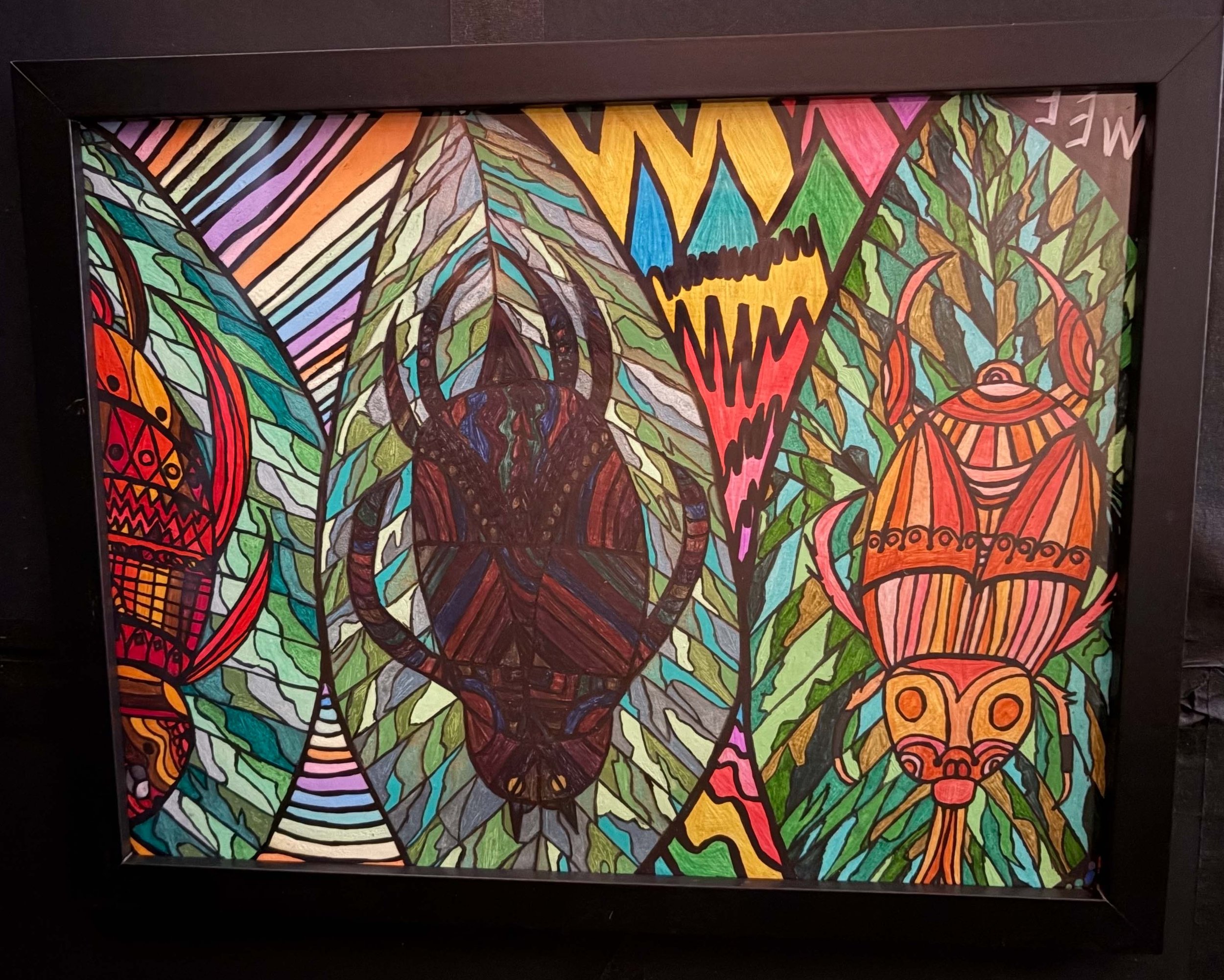 beetles on display.jpg