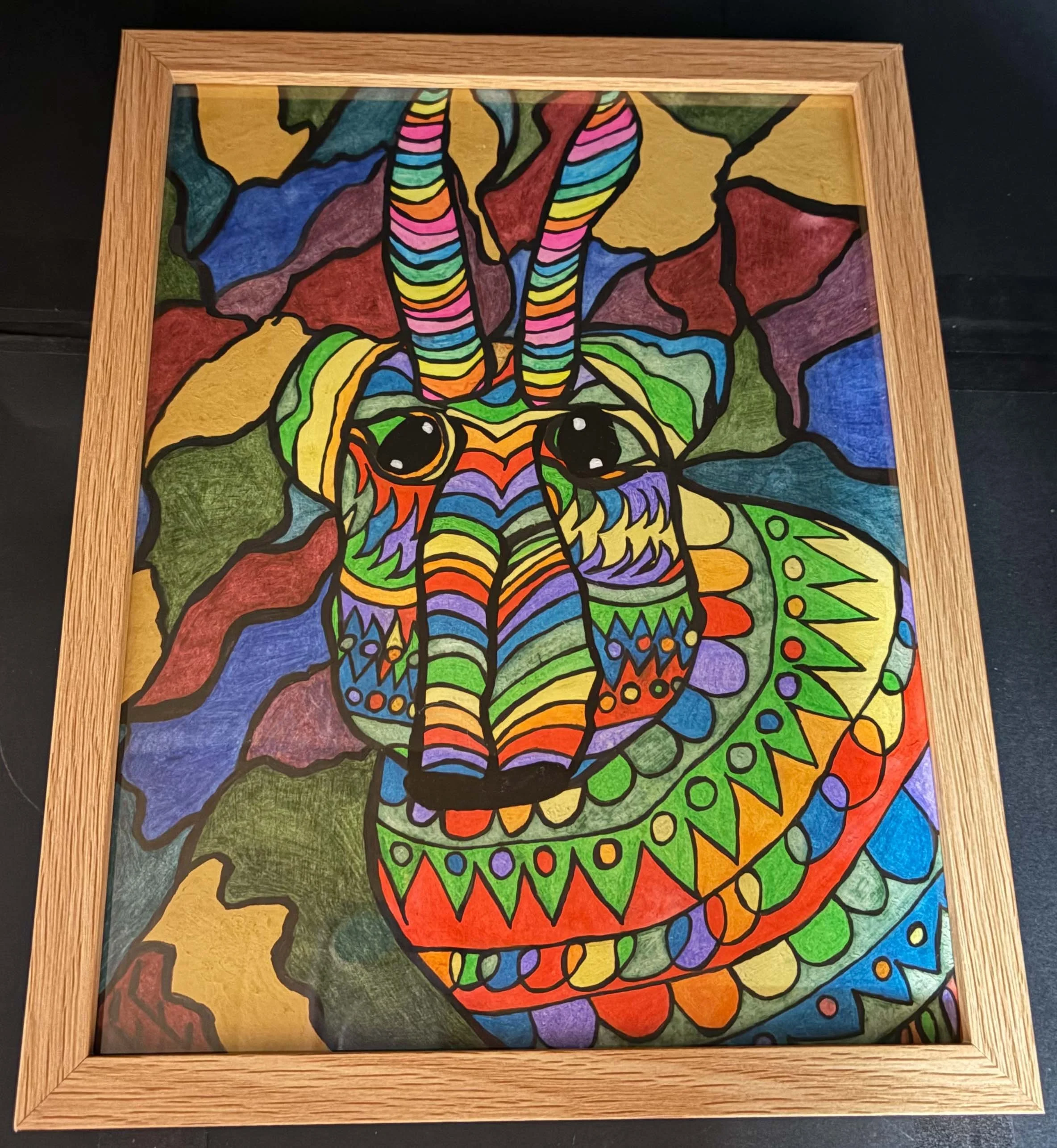 Rainbow Siga (Click  or hover over image  for Close up)