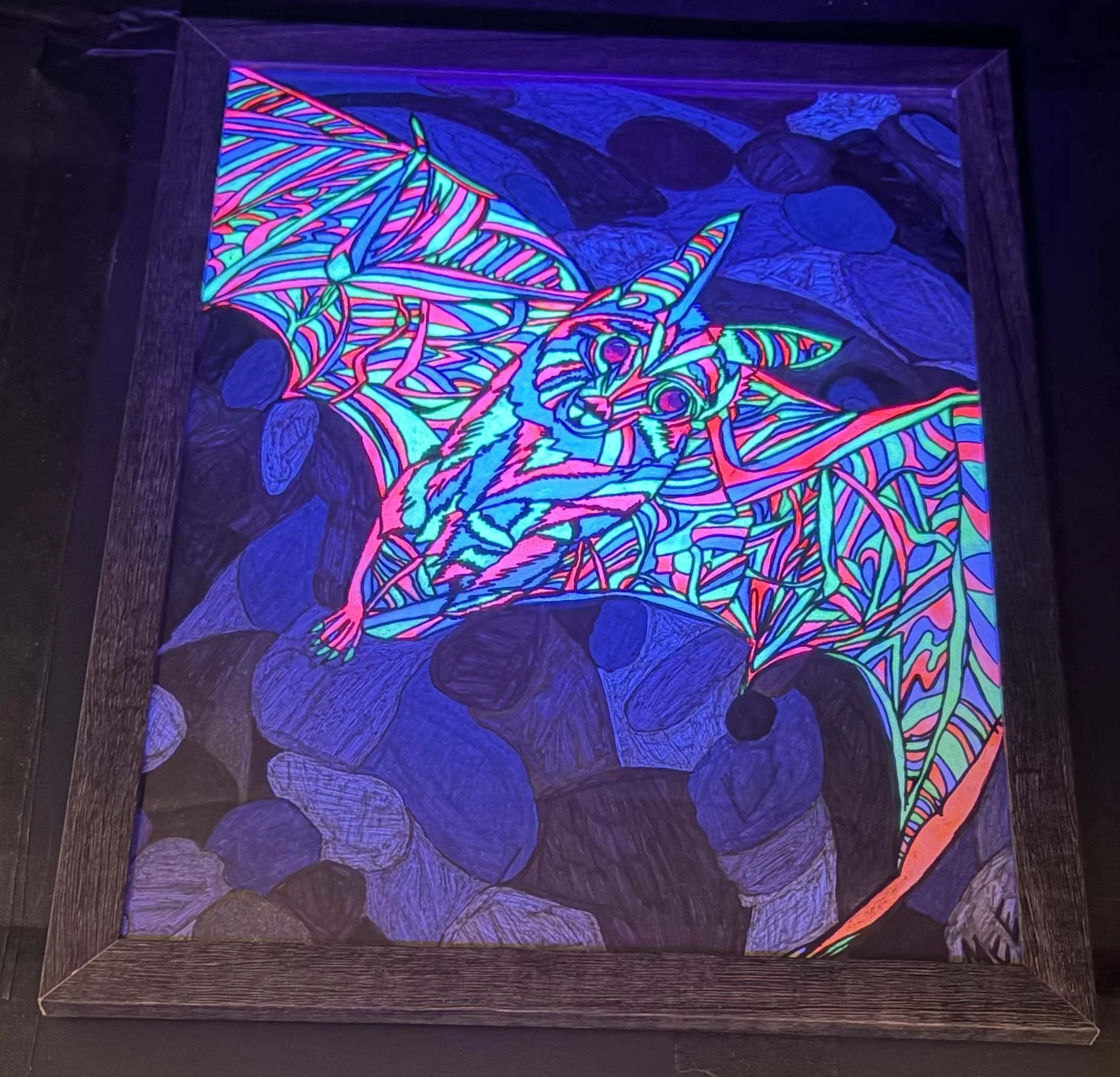 blacklight bat blacklight .jpg